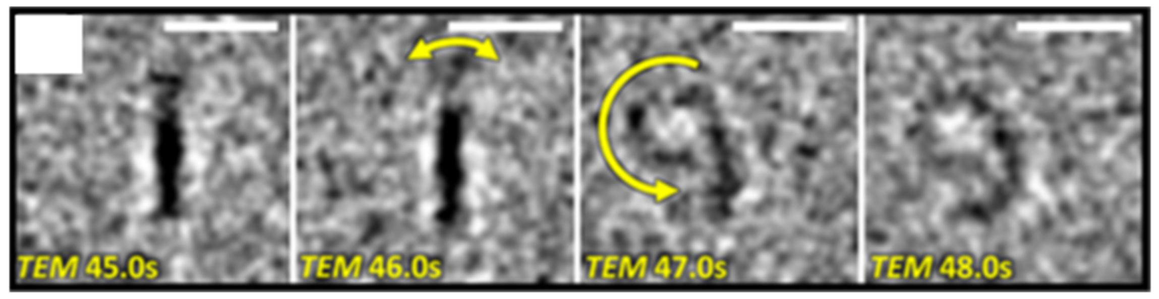 Materials 16 01276 g004