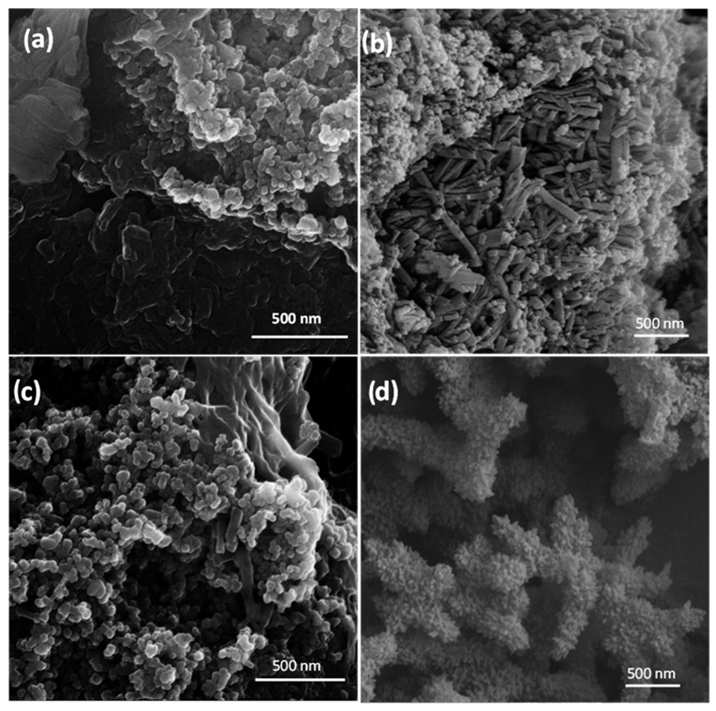 Materials 16 01304 g003