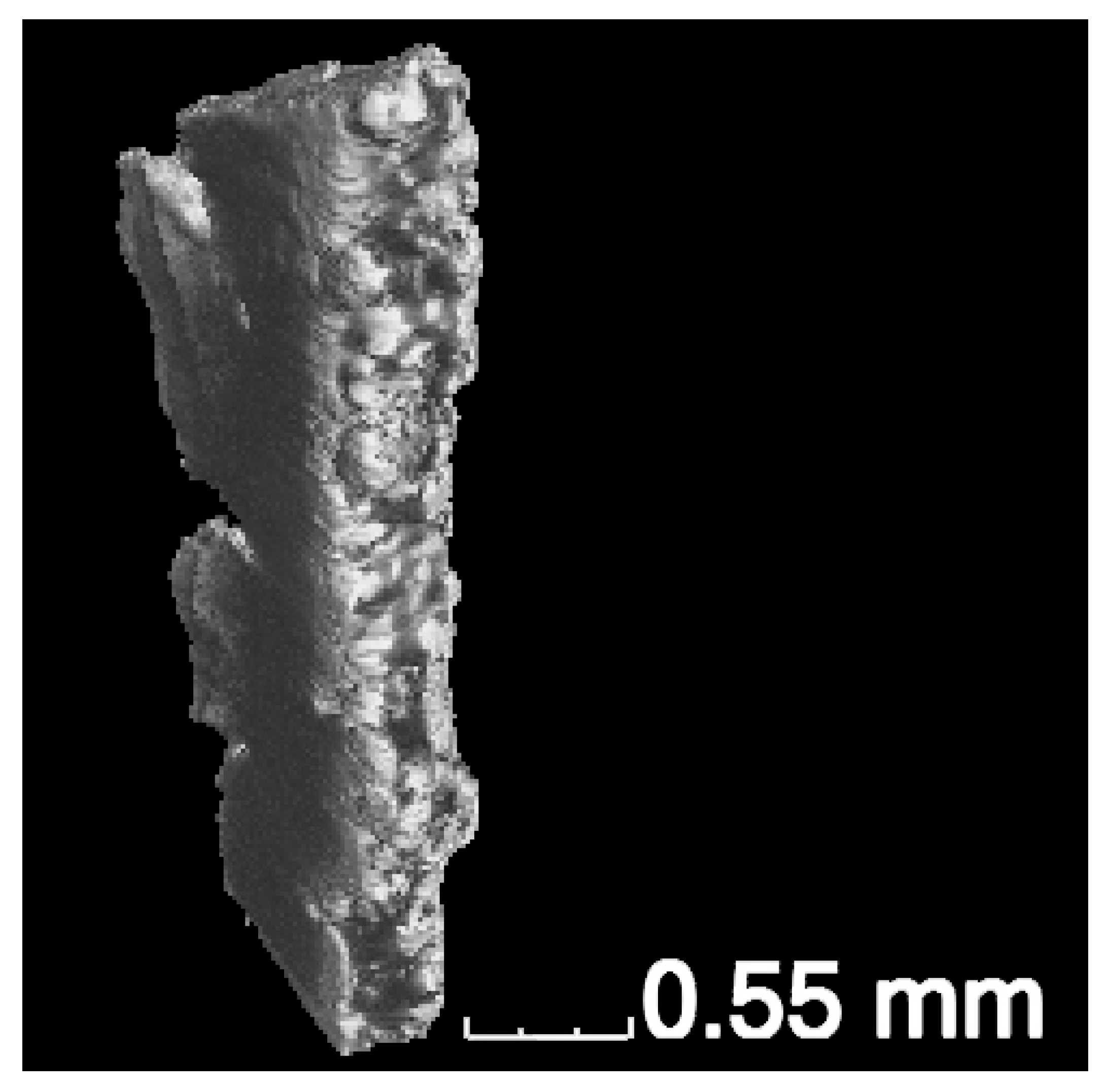 Materials 16 01353 g001 Materials 16 01353 g001