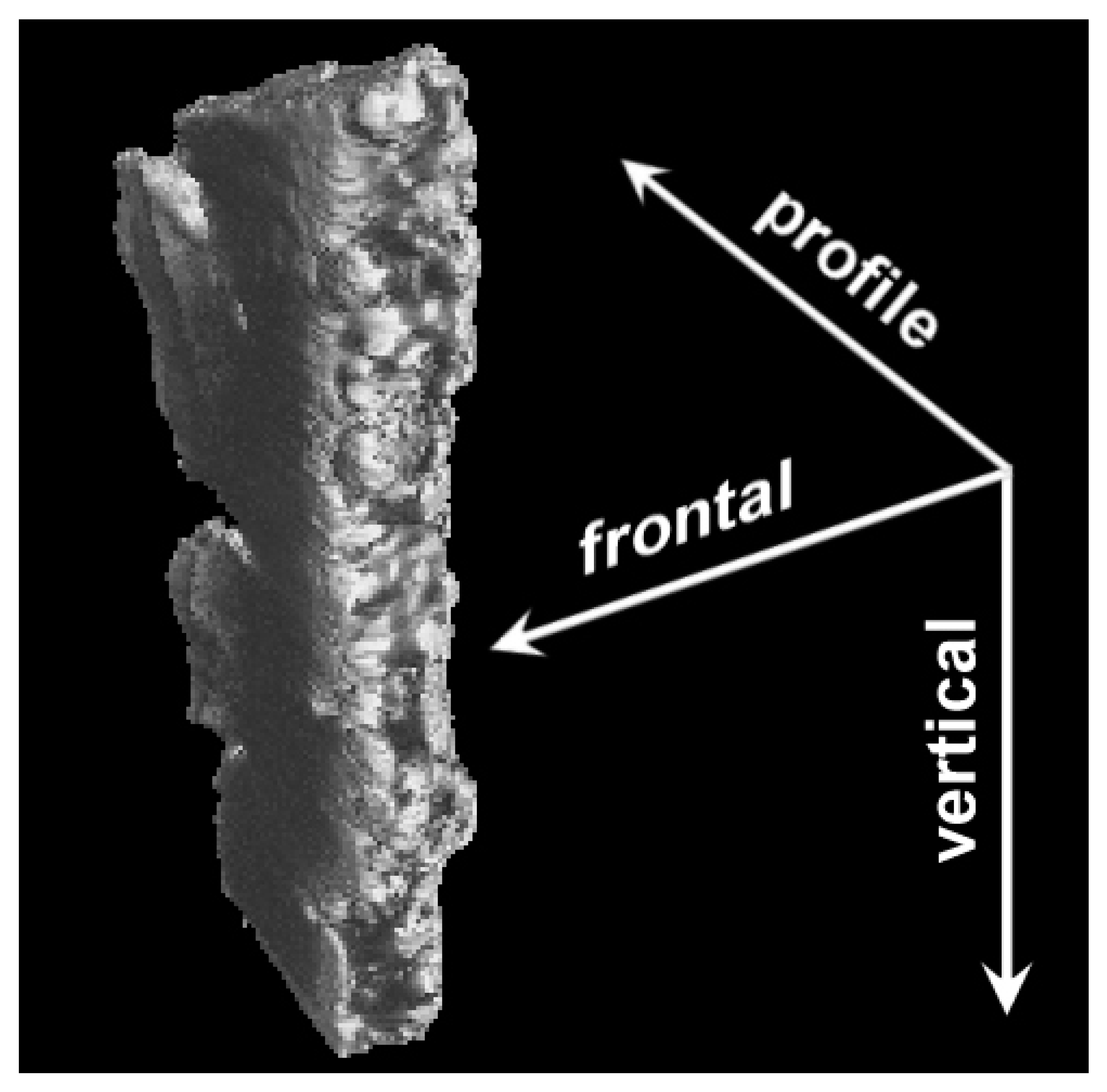 Materials 16 01353 g002 Materials 16 01353 g002
