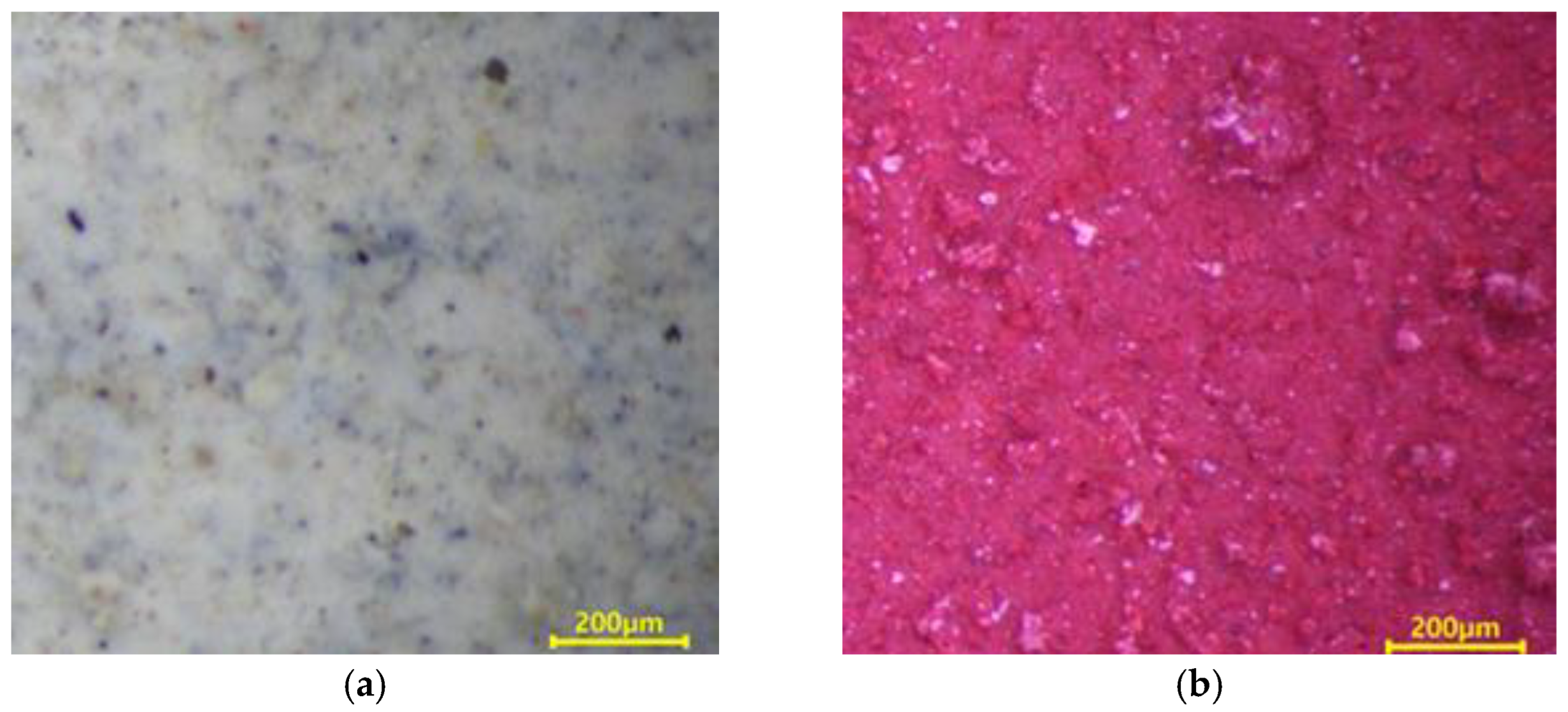 Materials 16 01372 g006