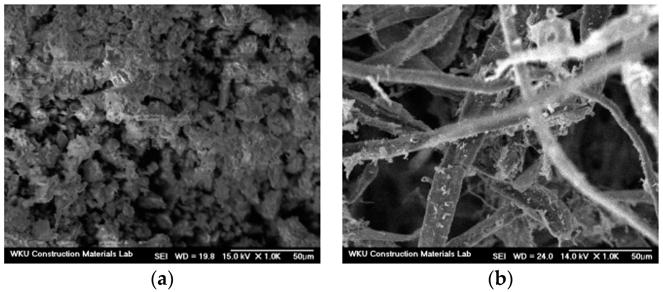 Materials 16 01374 g002 Materials 16 01374 g002