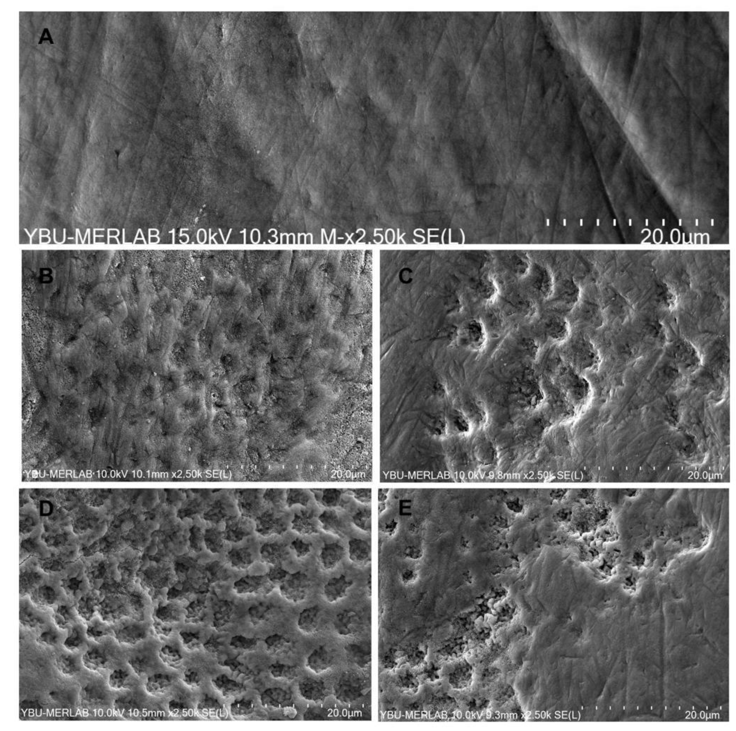 Materials 16 01389 g002 Materials 16 01389 g002
