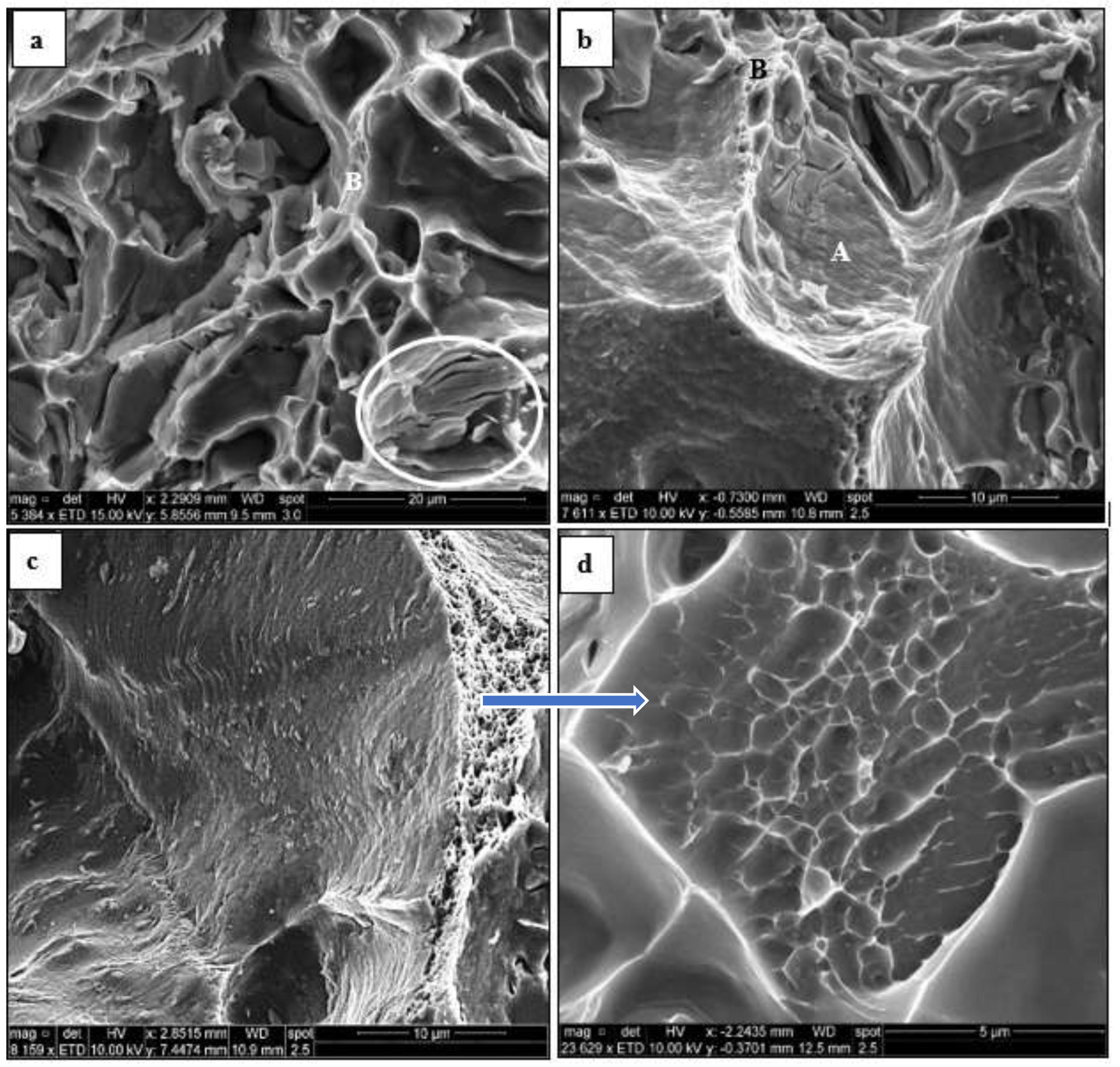 Materials 16 01400 g017