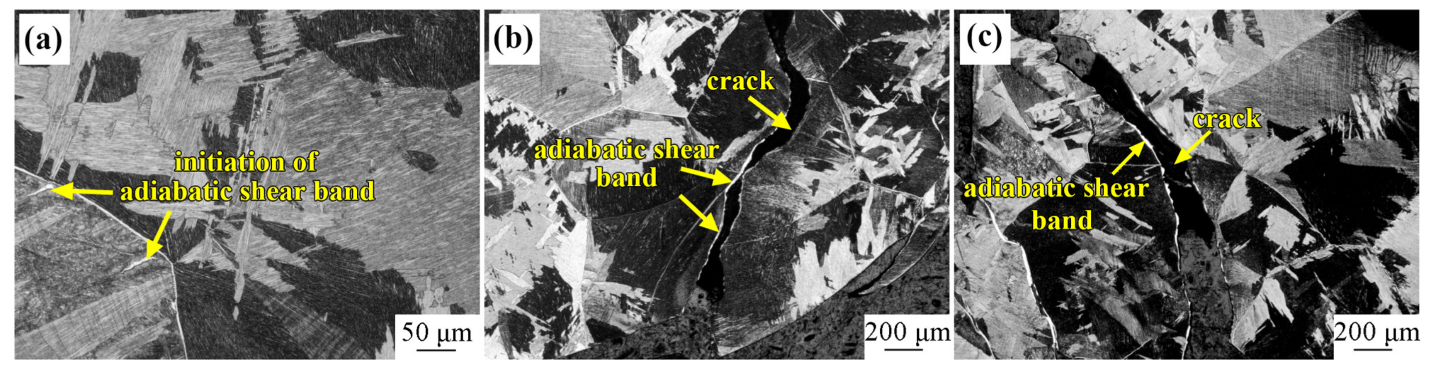 Materials 16 01406 g009