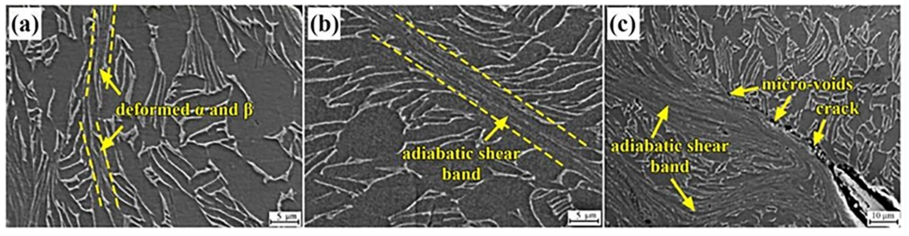 Materials 16 01406 g011