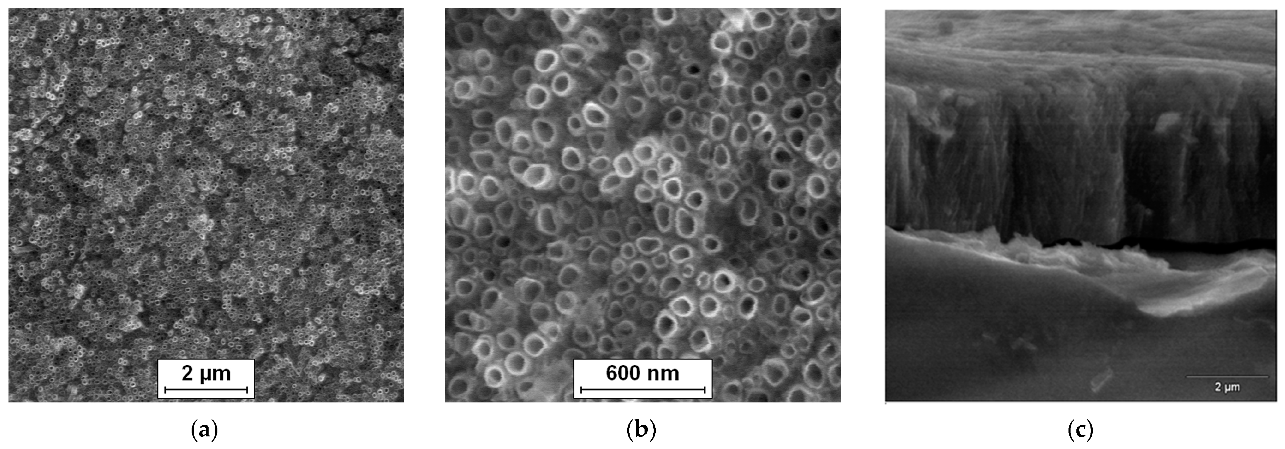 Materials 16 01408 g003