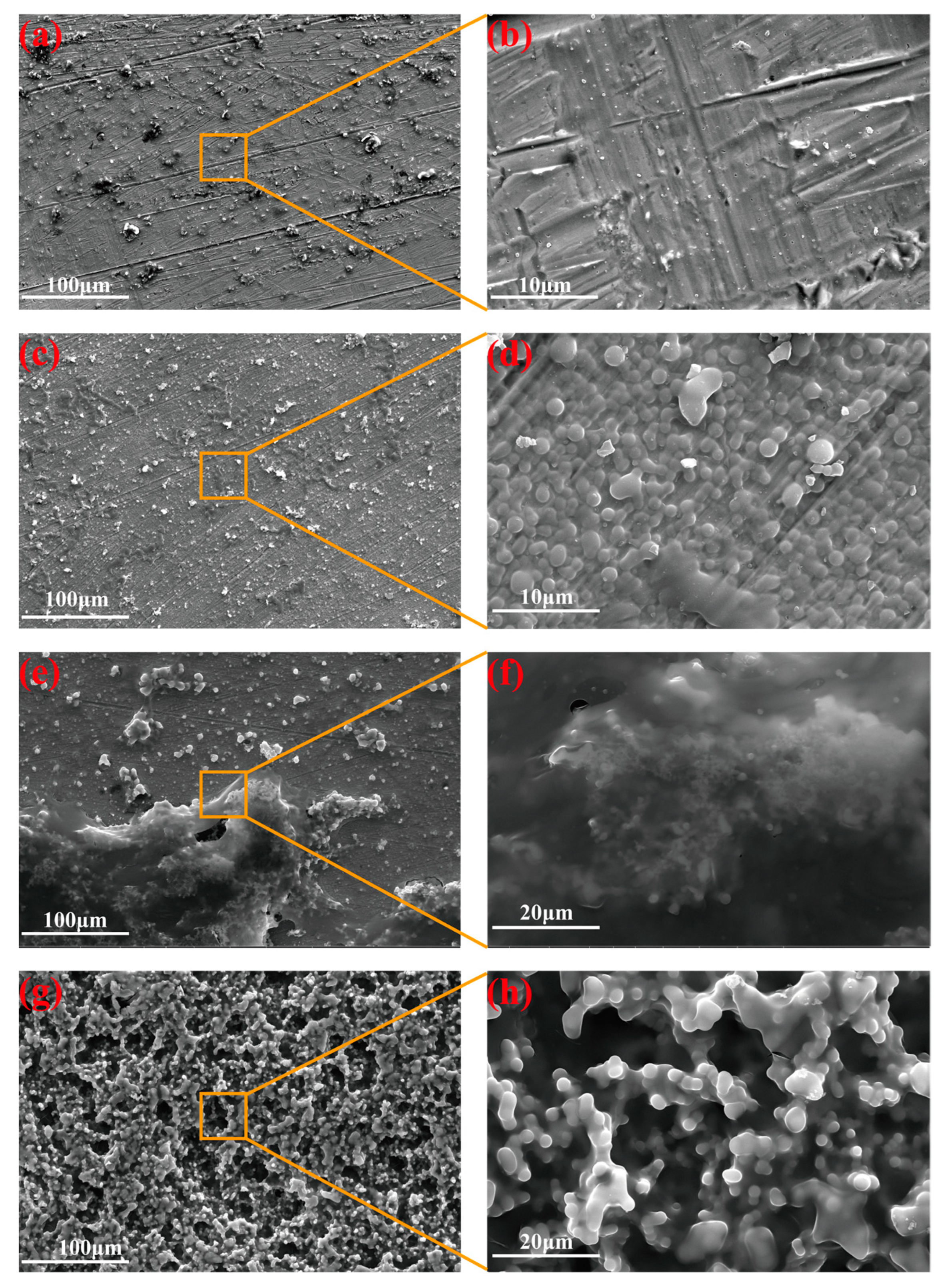 Materials 16 01417 g003