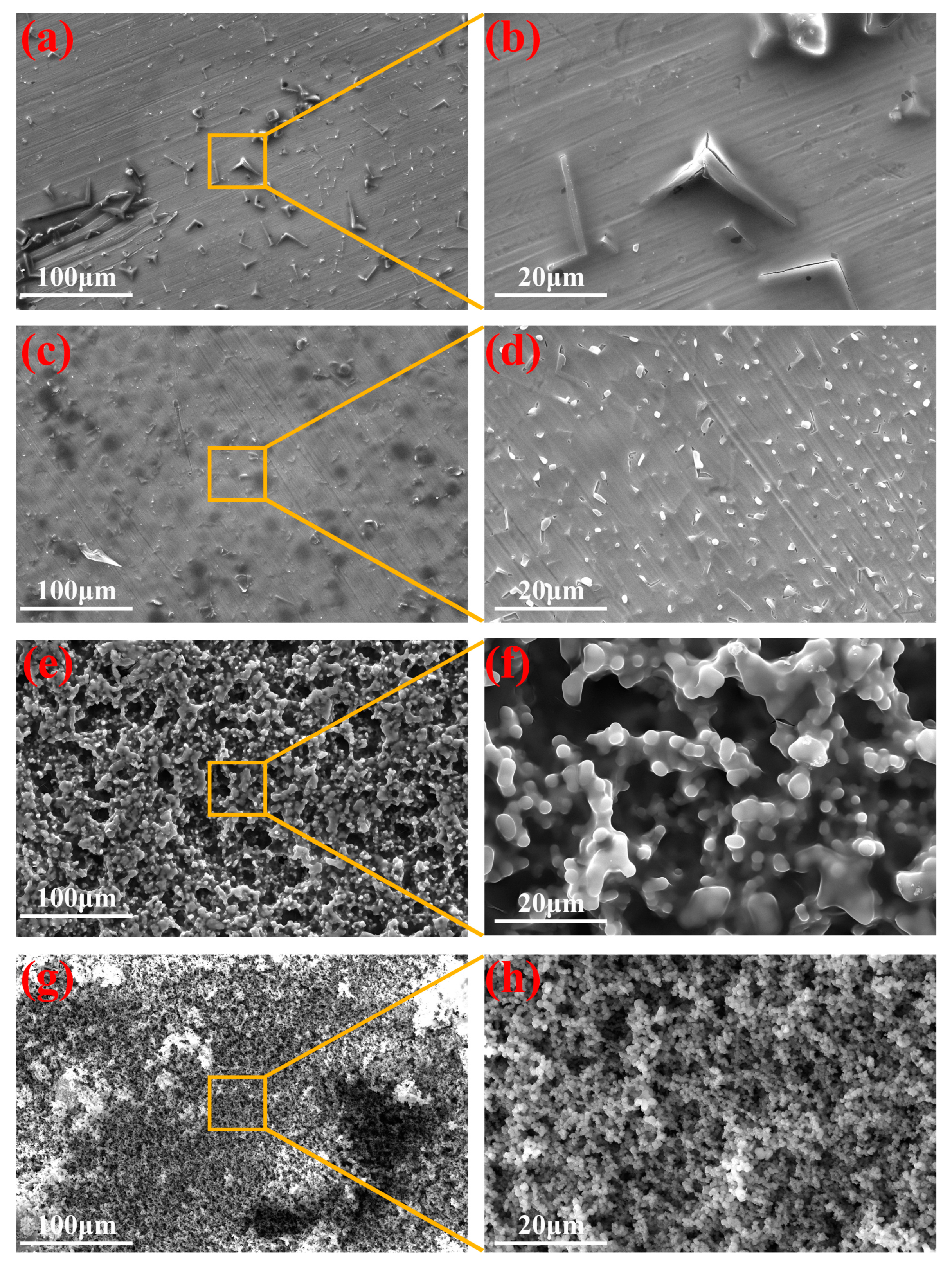 Materials 16 01417 g004