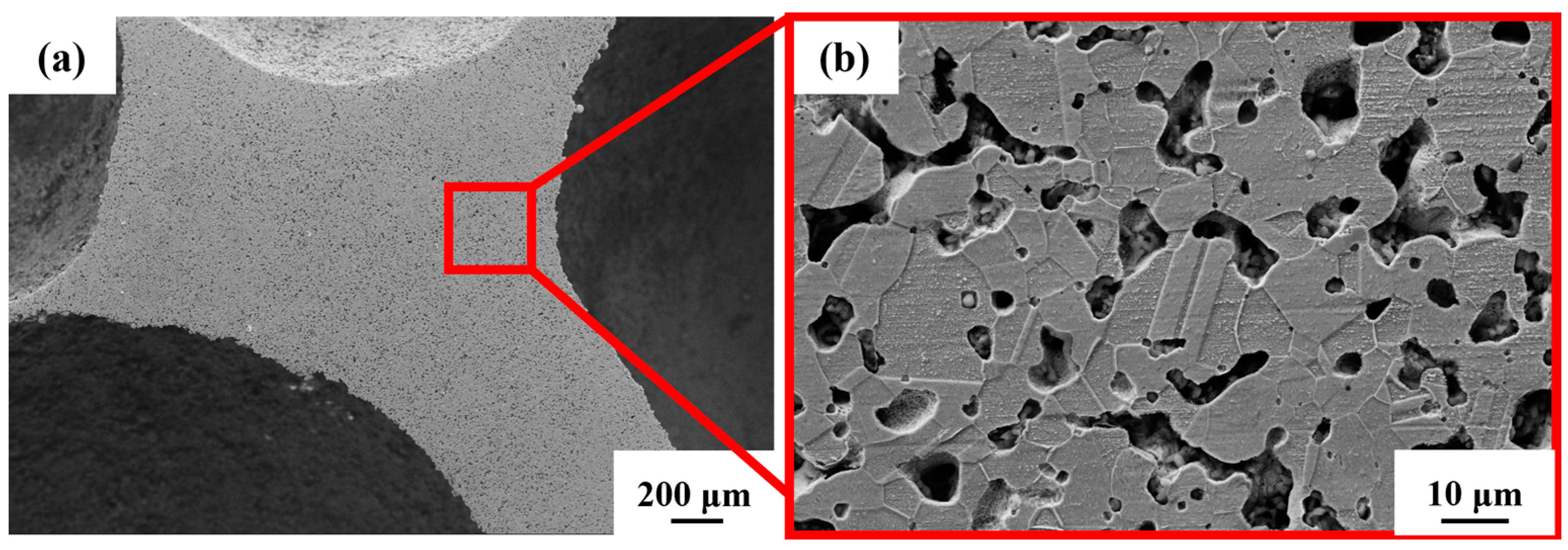 Materials 16 01419 g005