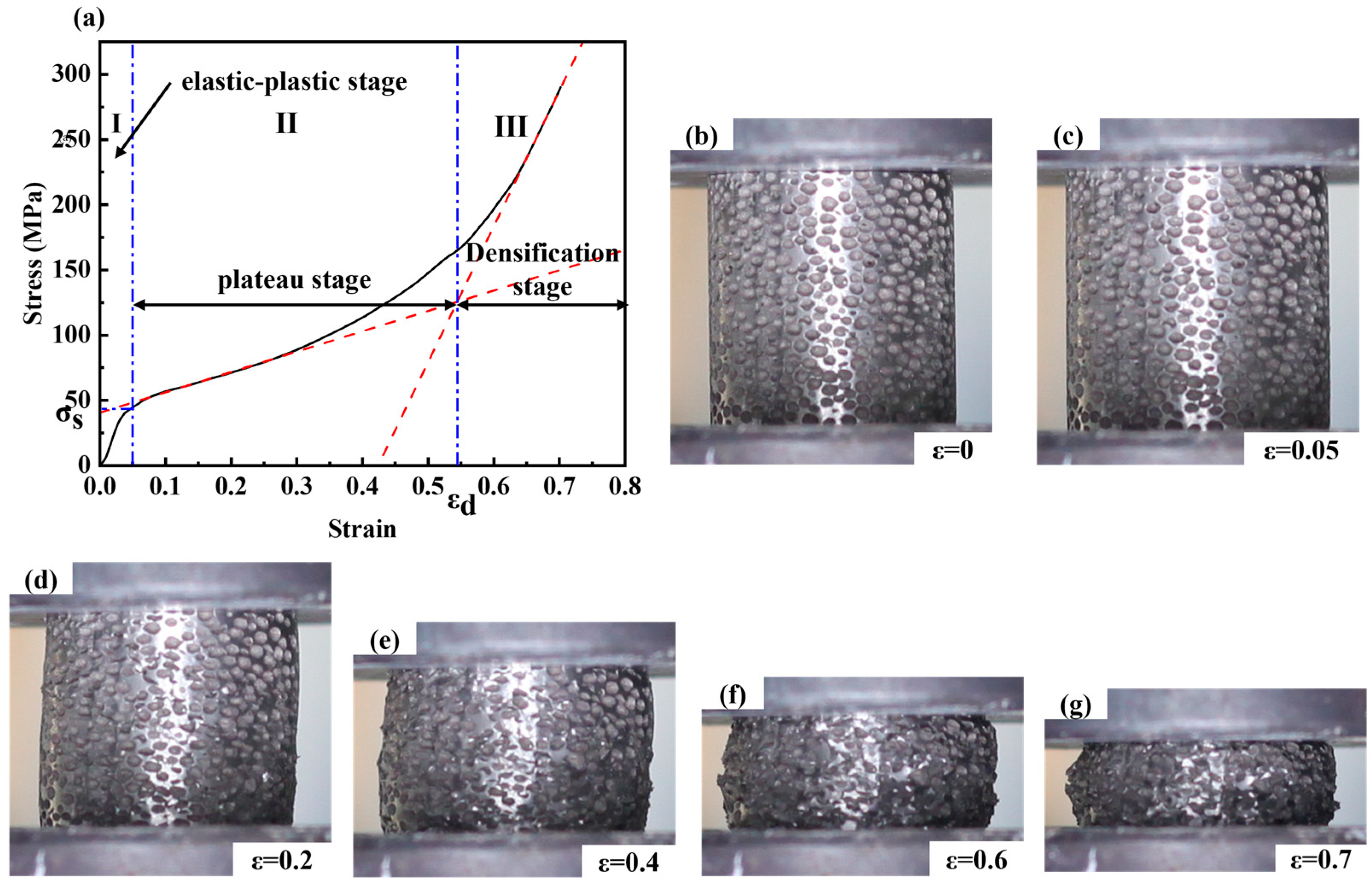 Materials 16 01419 g006