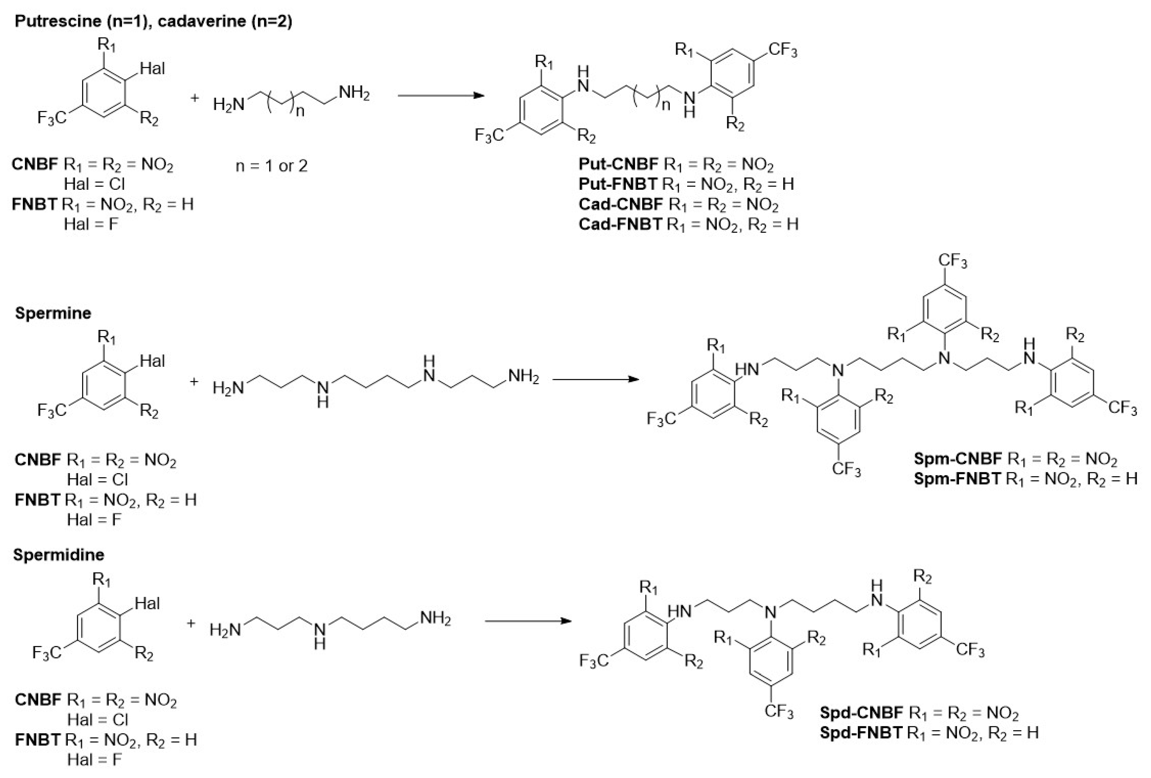 Materials 16 01474 g002