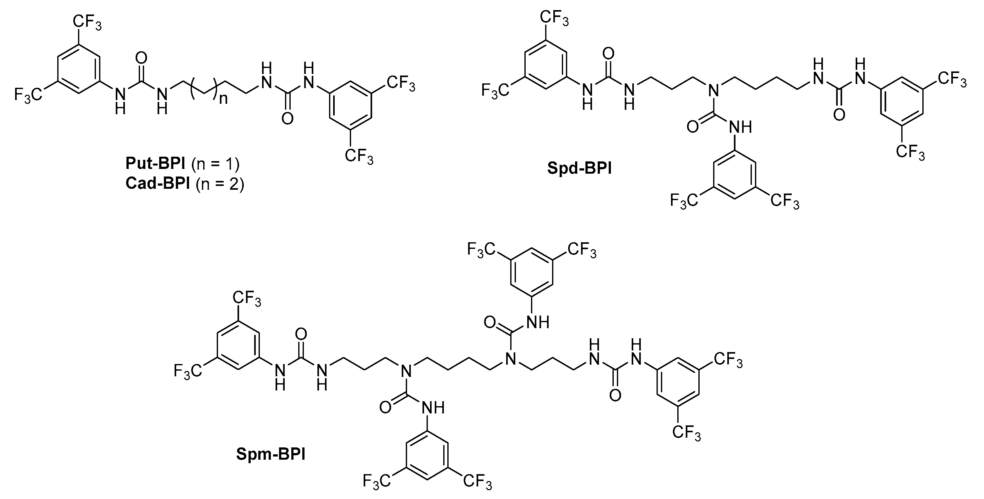Materials 16 01474 g003