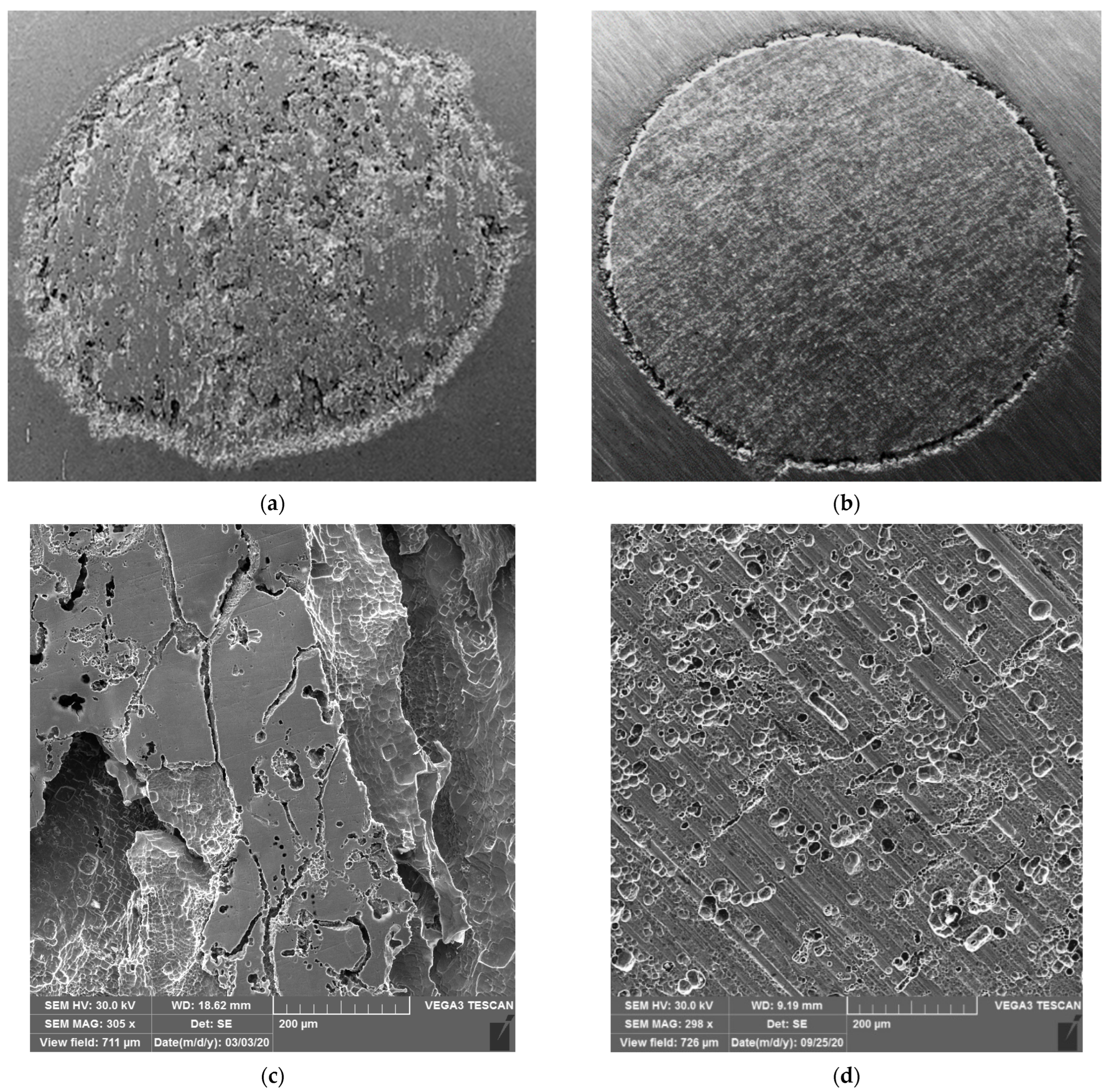 Materials 16 01501 g004