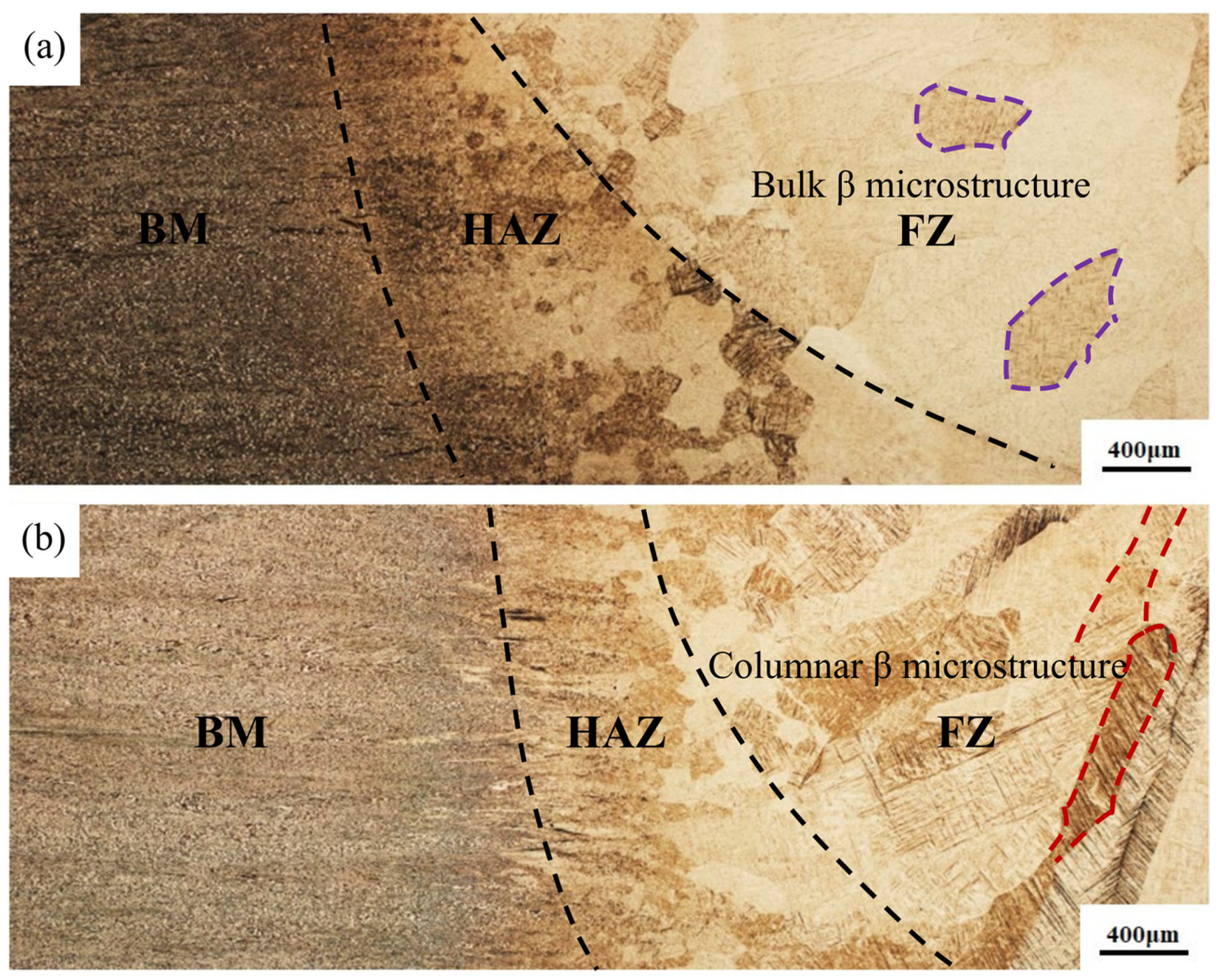 Materials 16 01509 g005