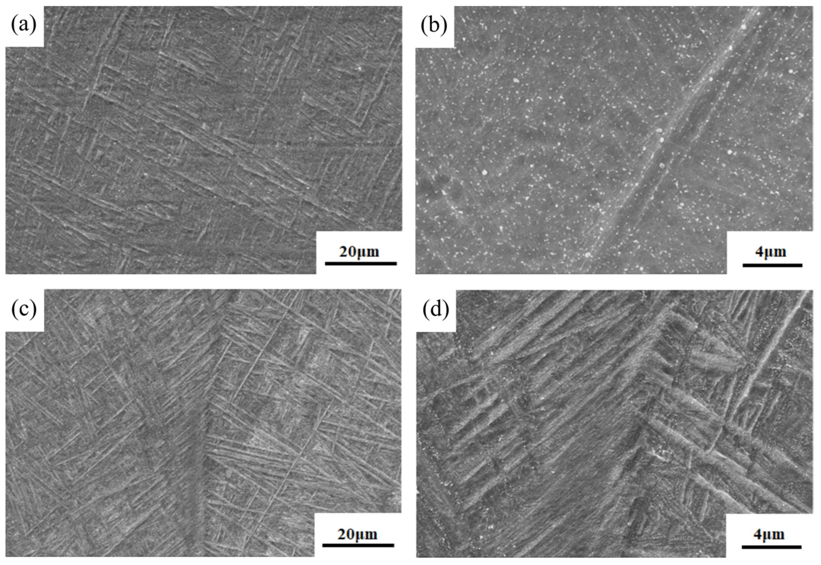 Materials 16 01509 g007