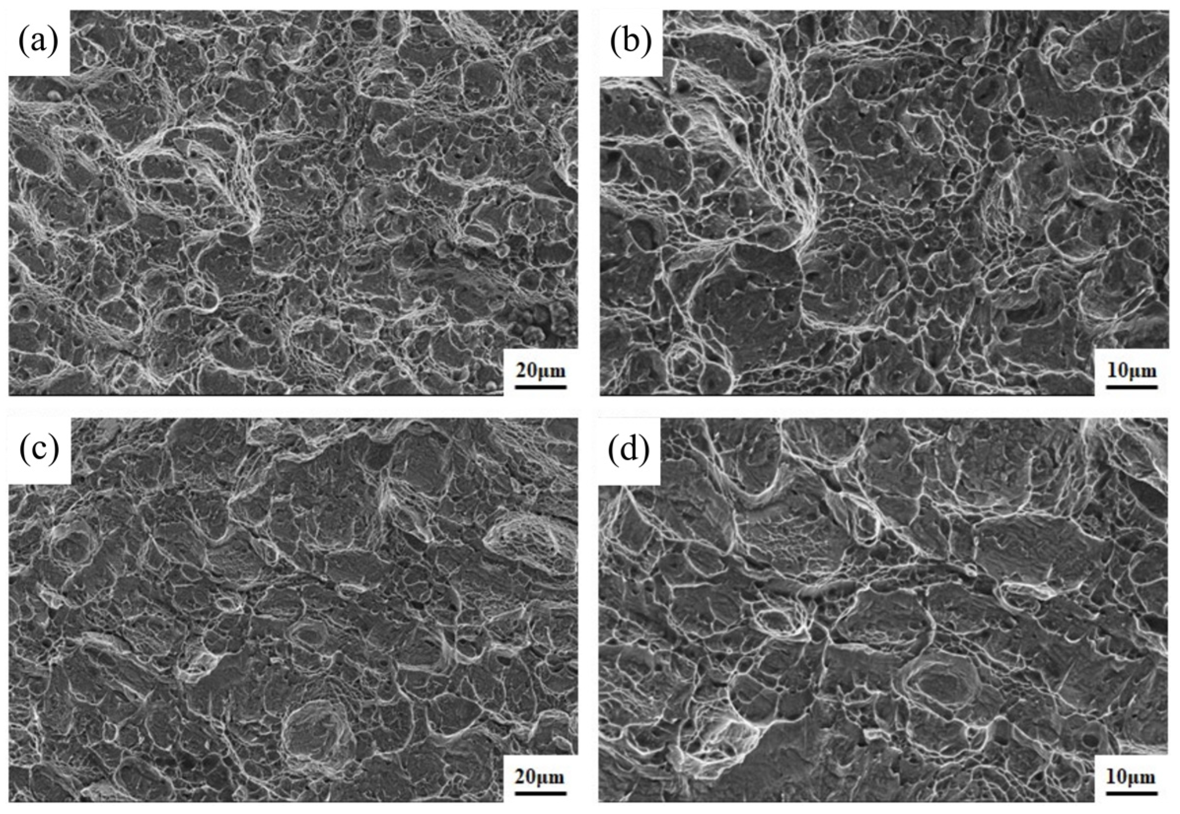 Materials 16 01509 g016