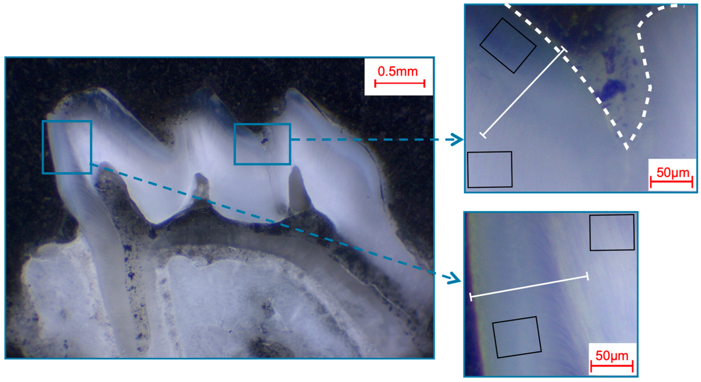 Materials 16 01514 g002 Materials 16 01514 g002