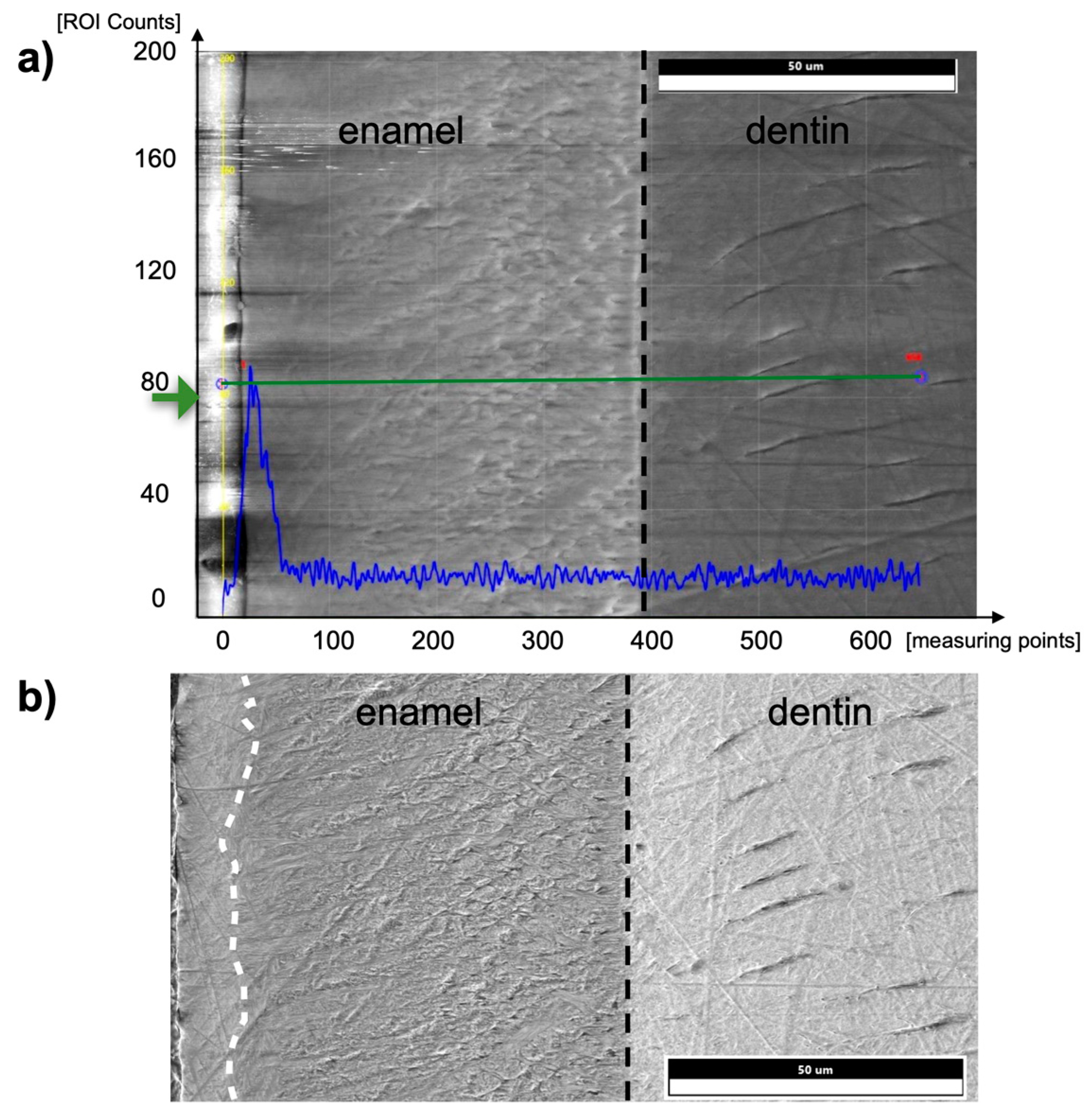 Materials 16 01514 g008 Materials 16 01514 g008