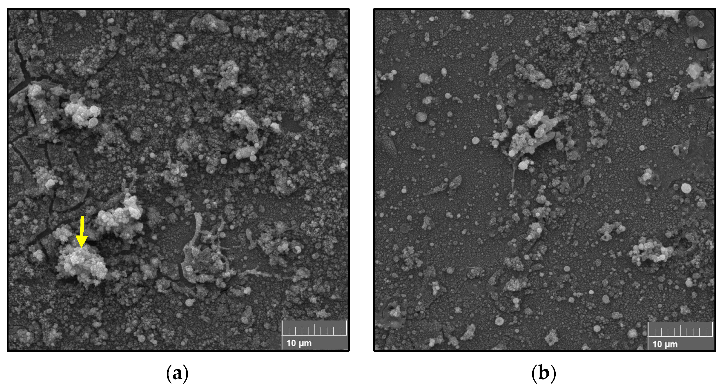 Materials 16 01515 g003a