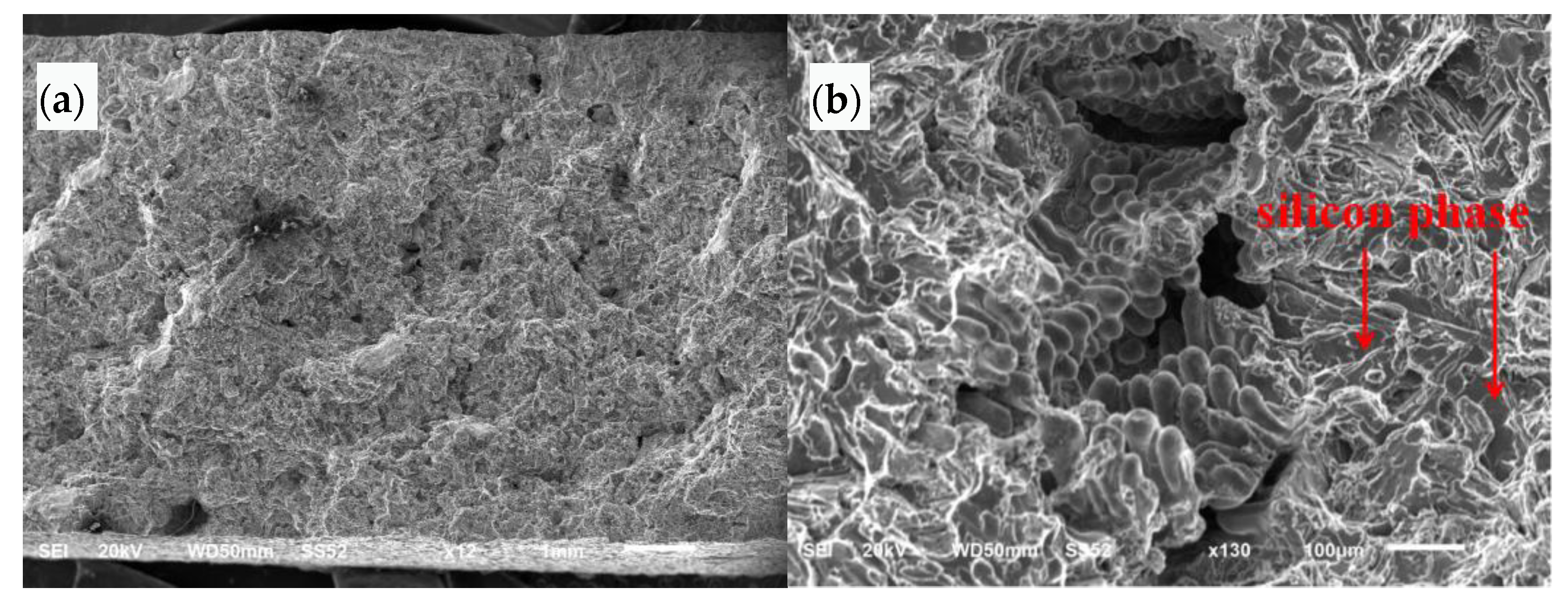 Materials 16 01561 g008