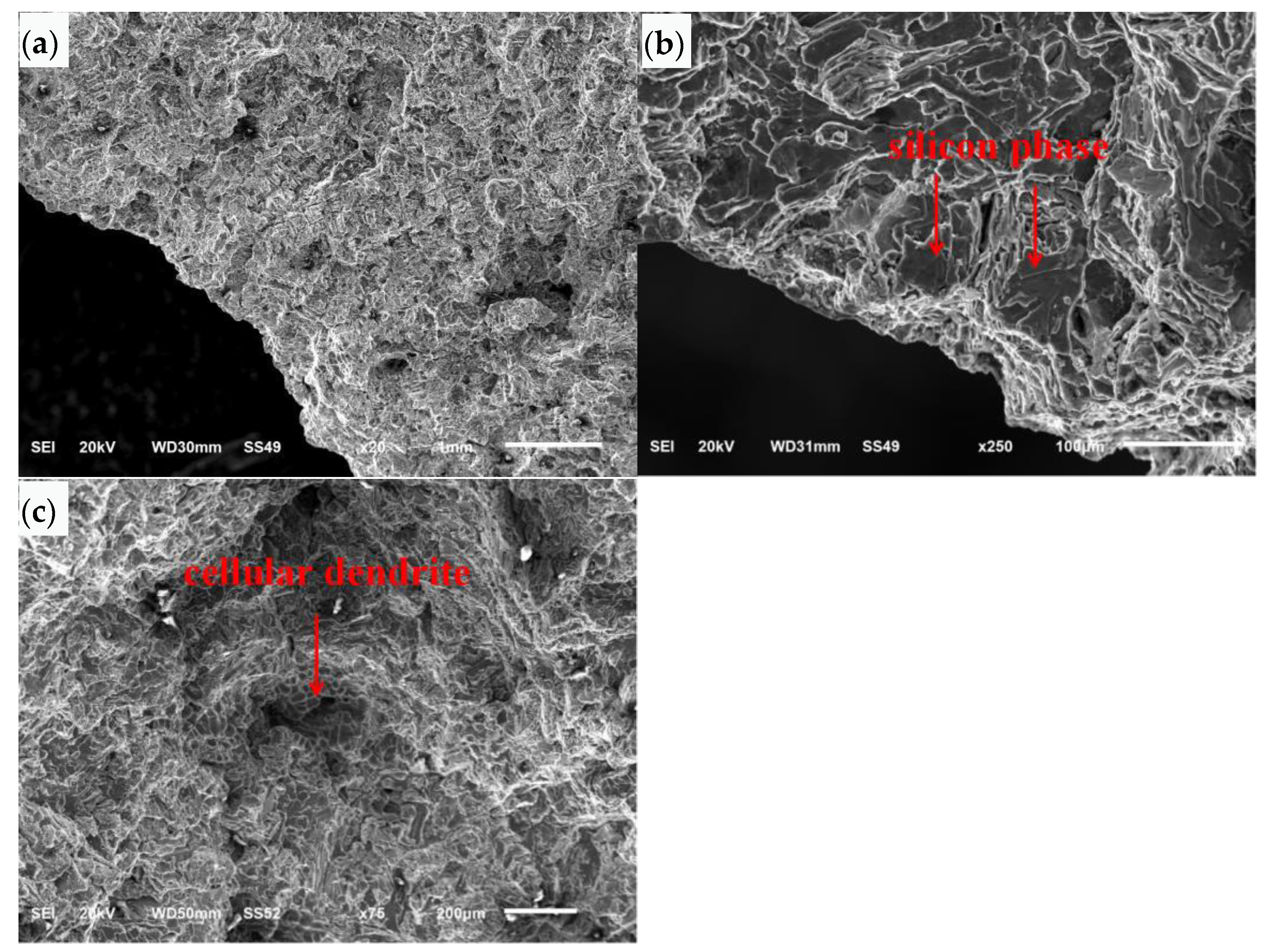 Materials 16 01561 g009