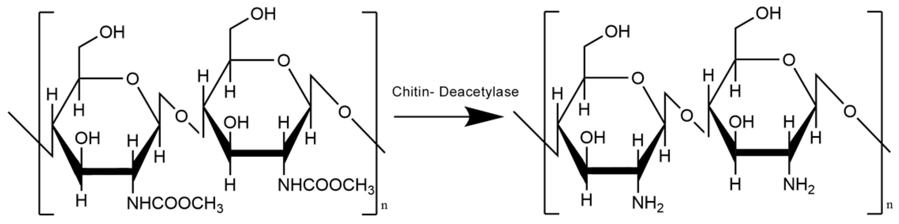 Materials 16 01579 g003