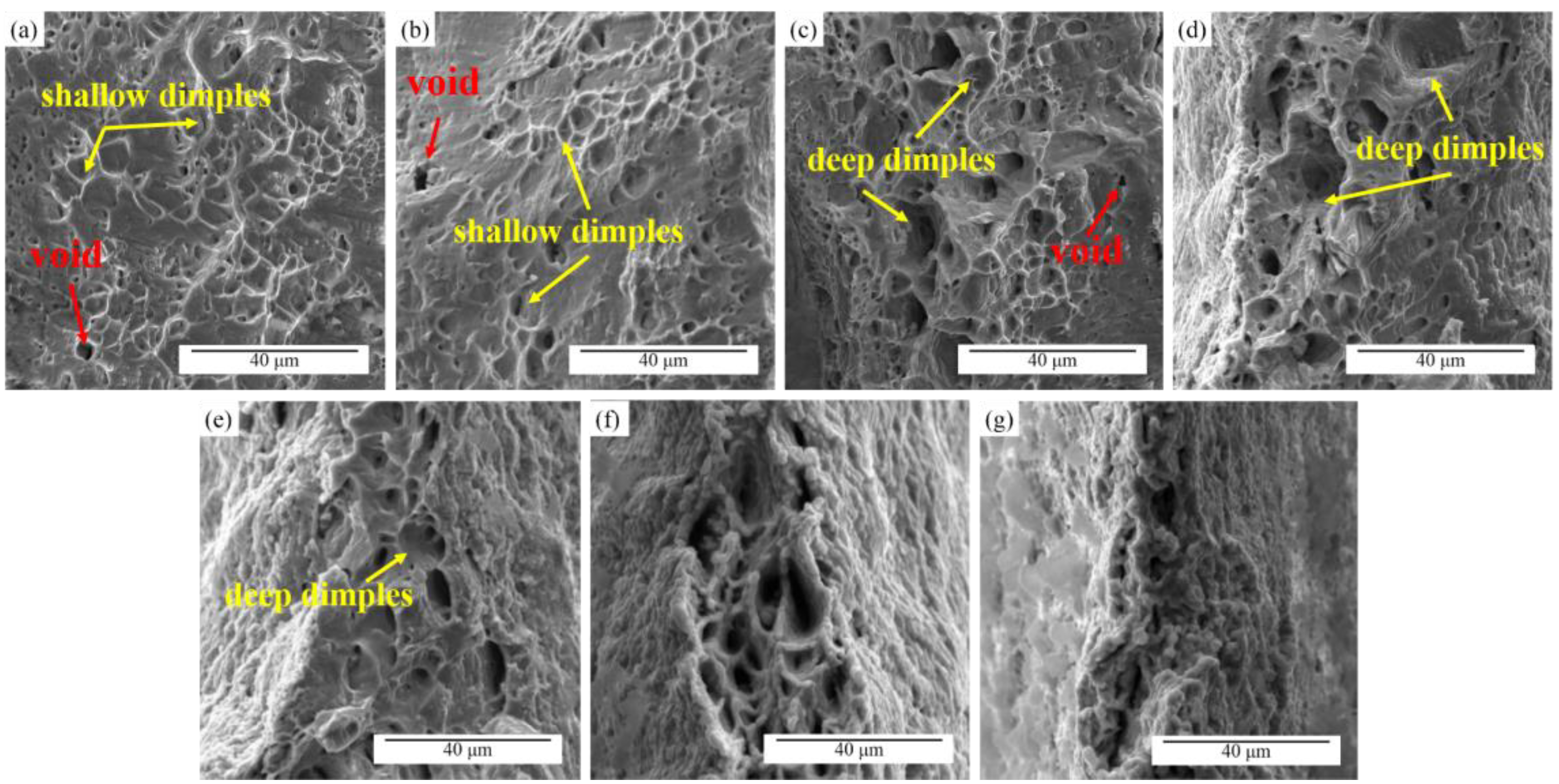 Materials 16 01589 g010