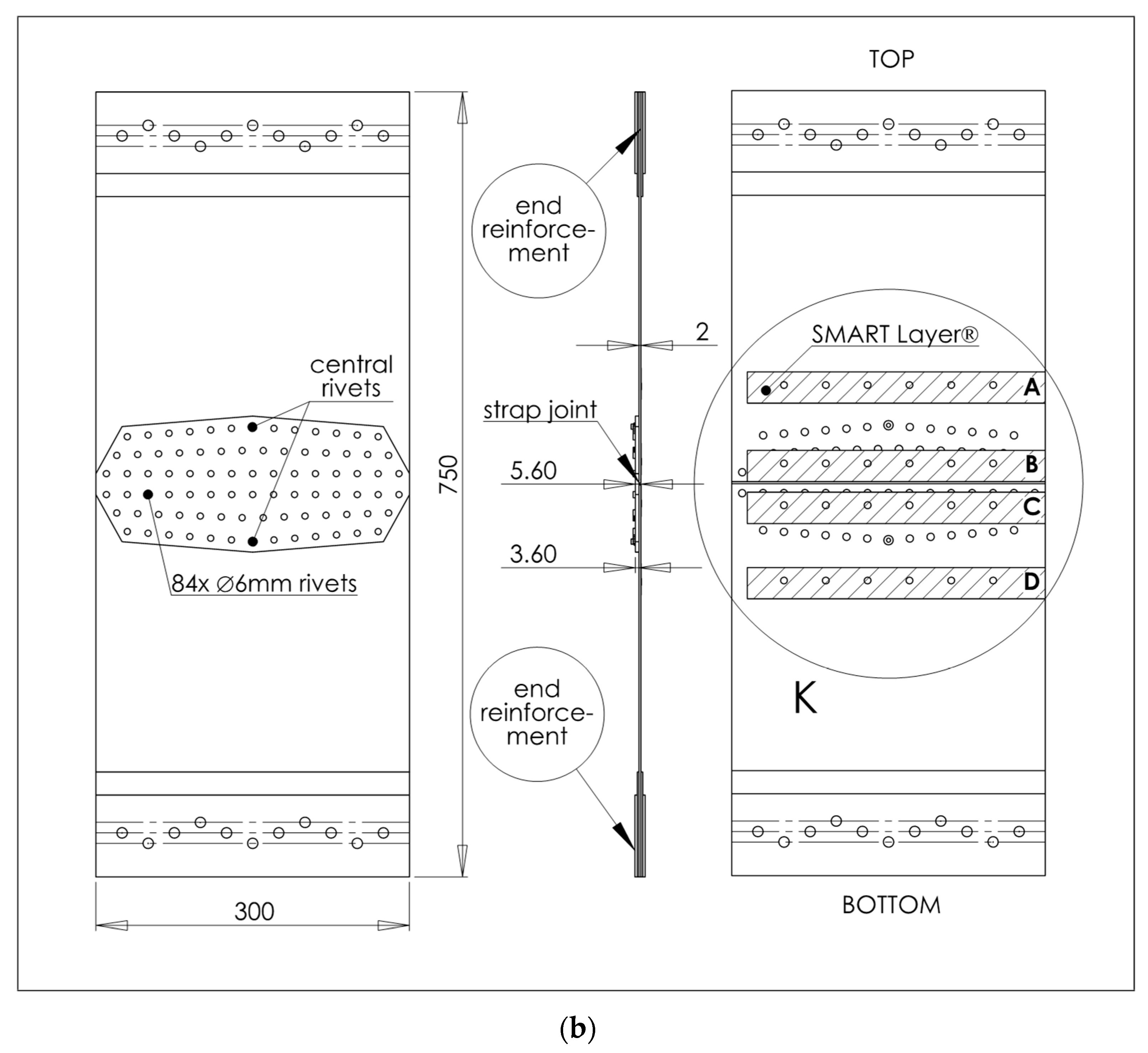 Materials 16 01619 g001b Materials 16 01619 g001b