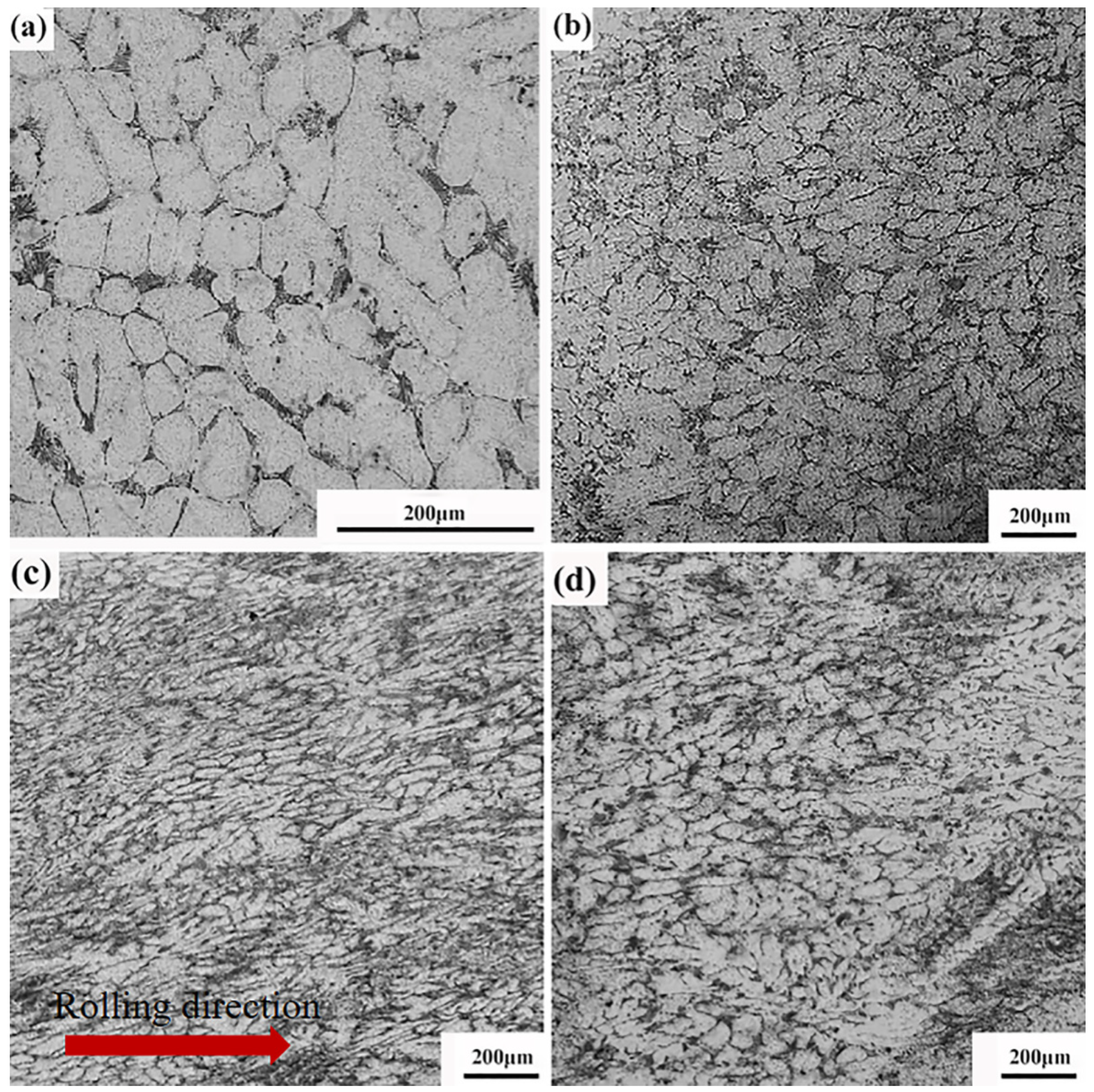 Materials 16 01639 g001