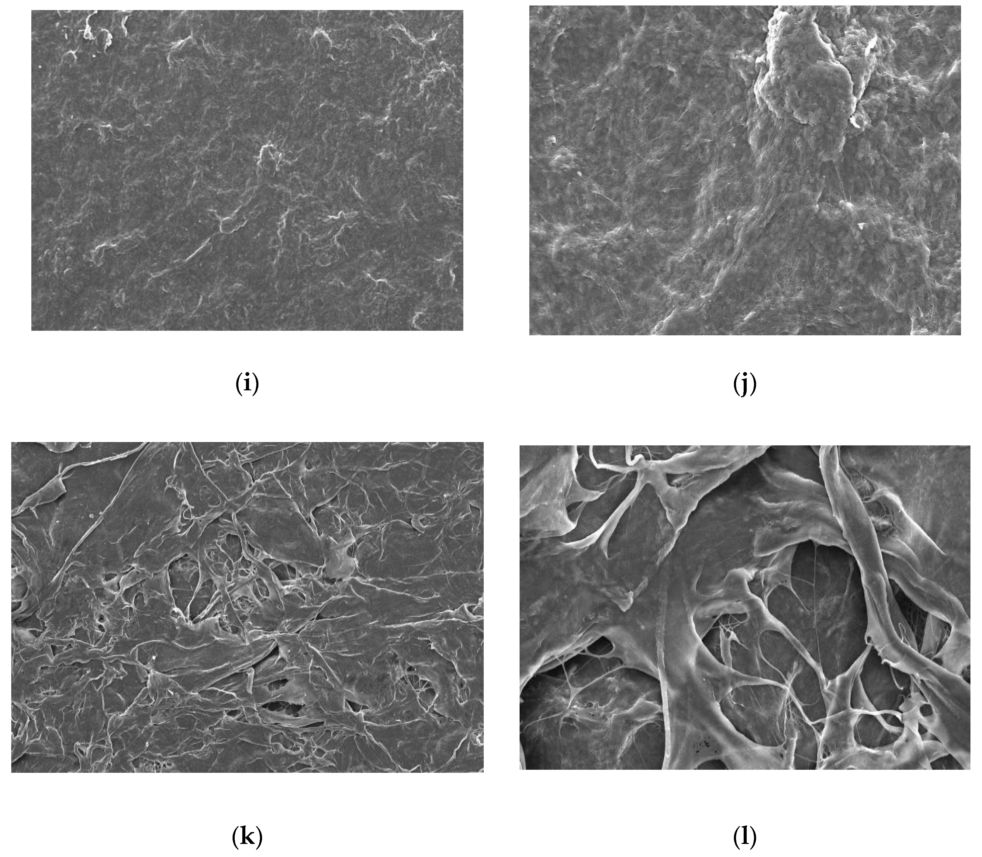 Materials 16 01657 g003b Materials 16 01657 g003b