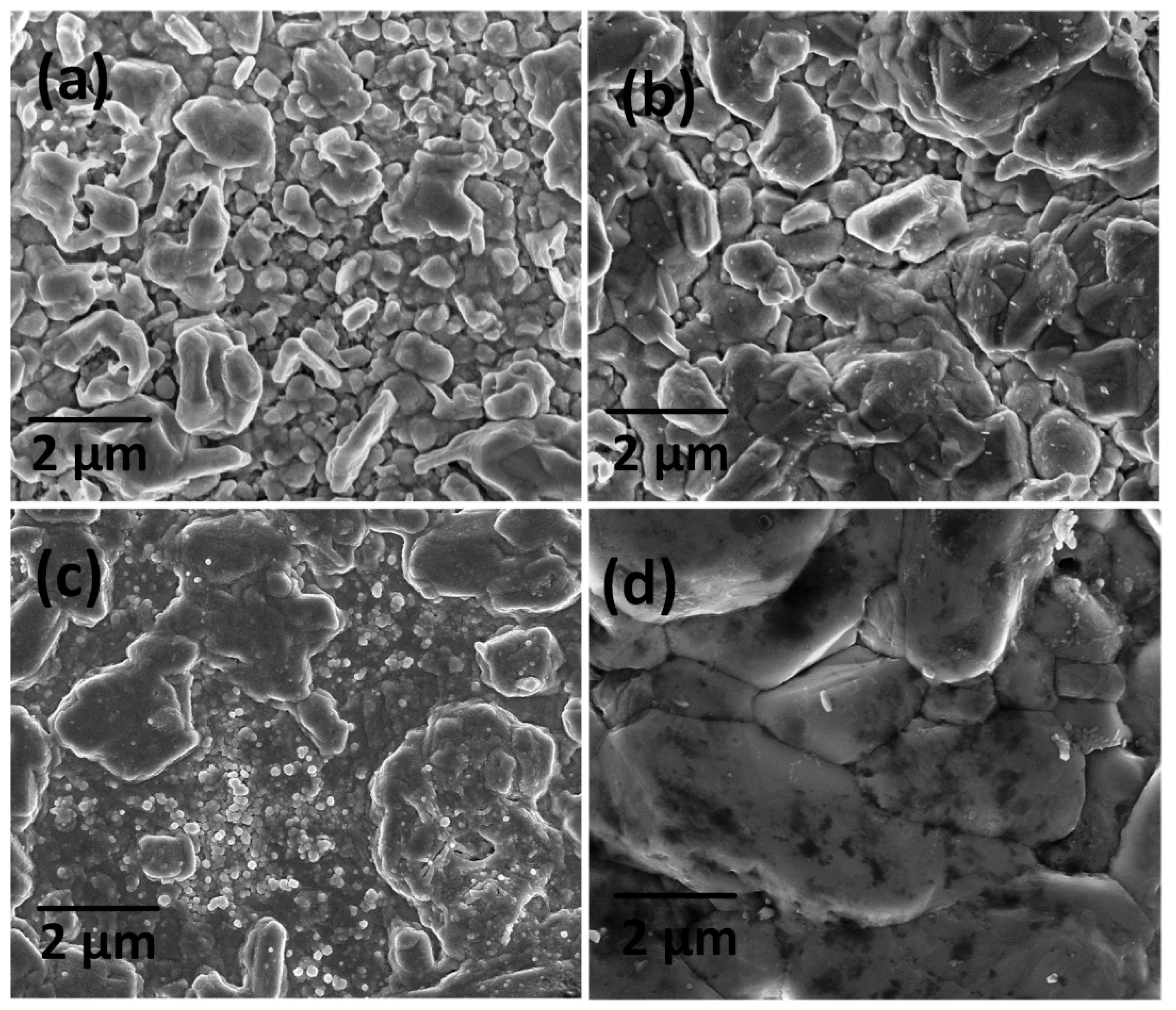 Materials 16 01659 g004