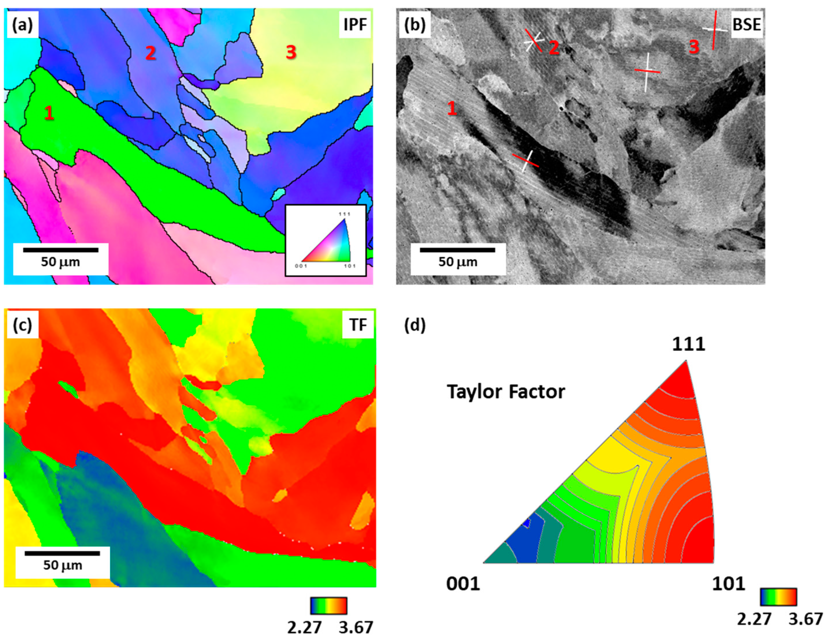 Materials 16 01666 g004 Materials 16 01666 g004