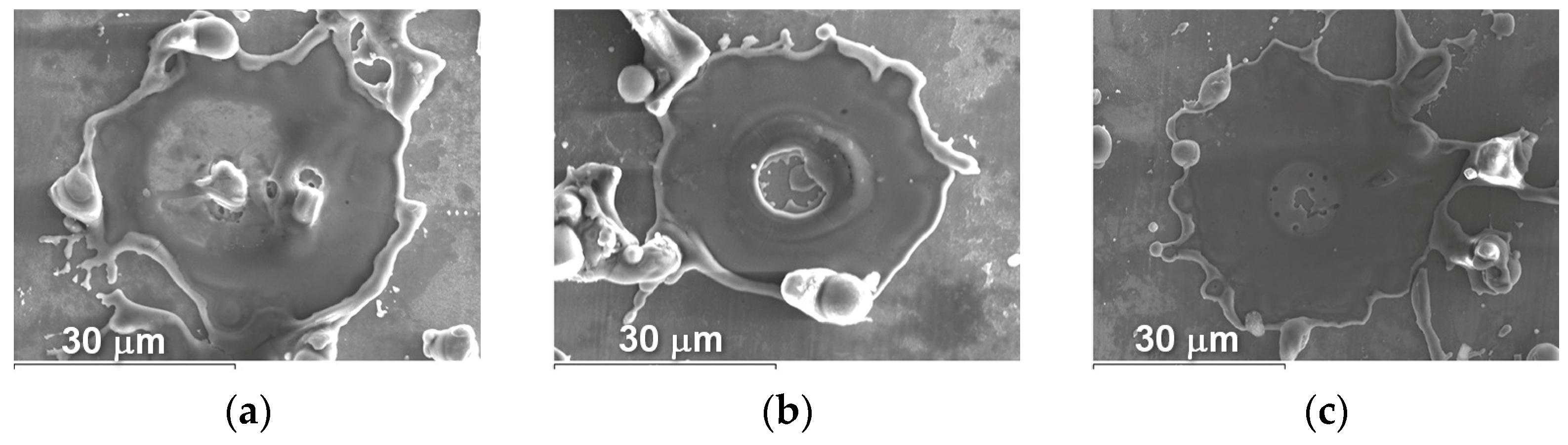 Materials 16 01669 g016 Materials 16 01669 g016