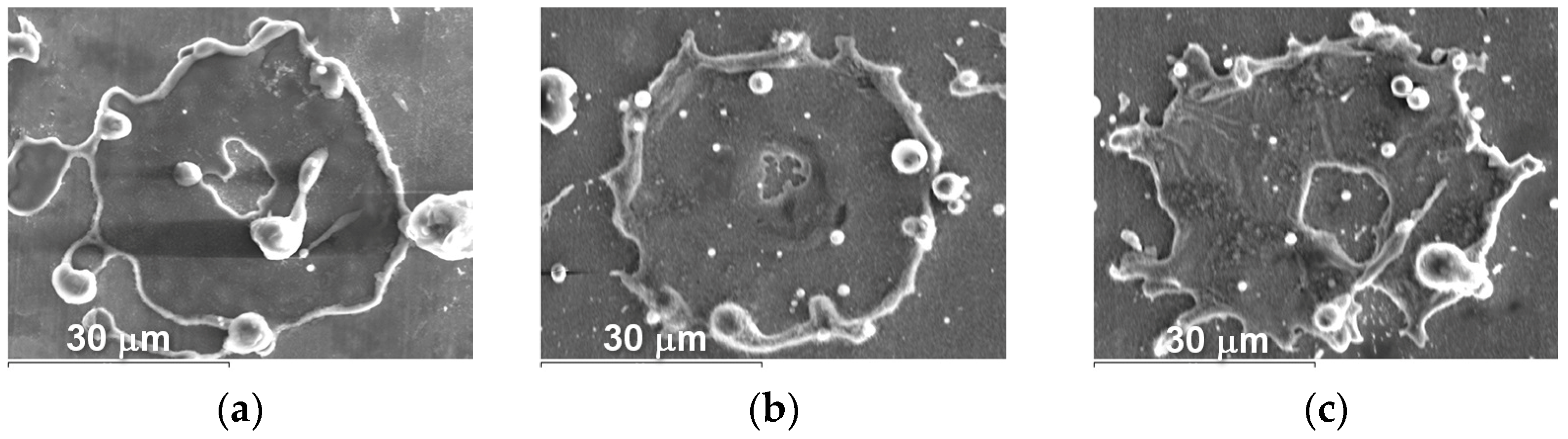 Materials 16 01669 g018 Materials 16 01669 g018
