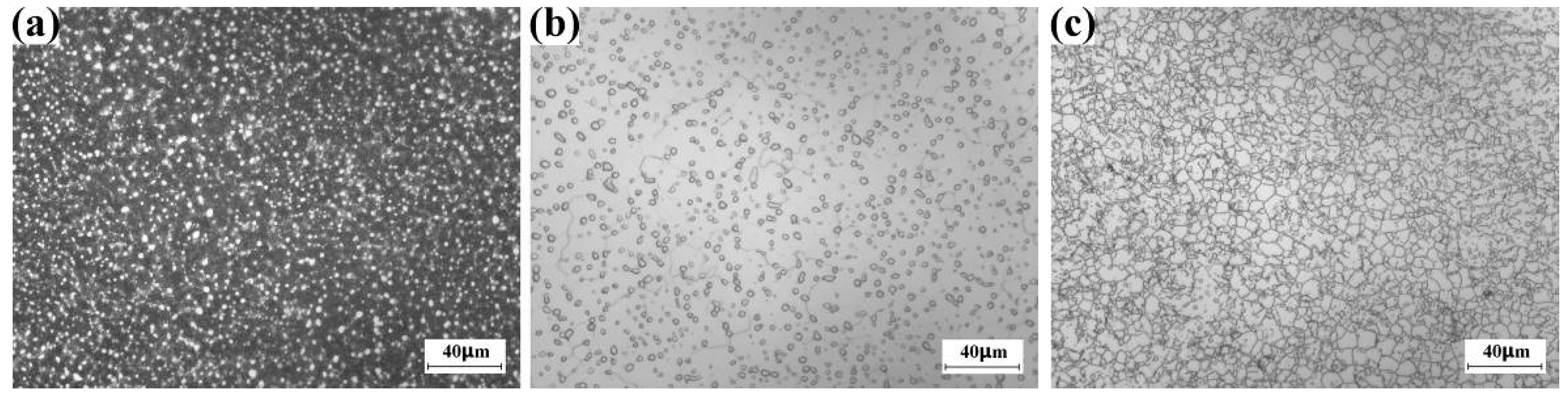 Materials 16 01692 g003