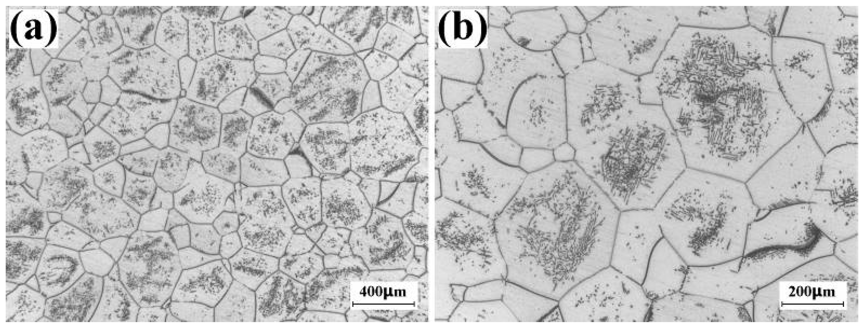 Materials 16 01692 g004