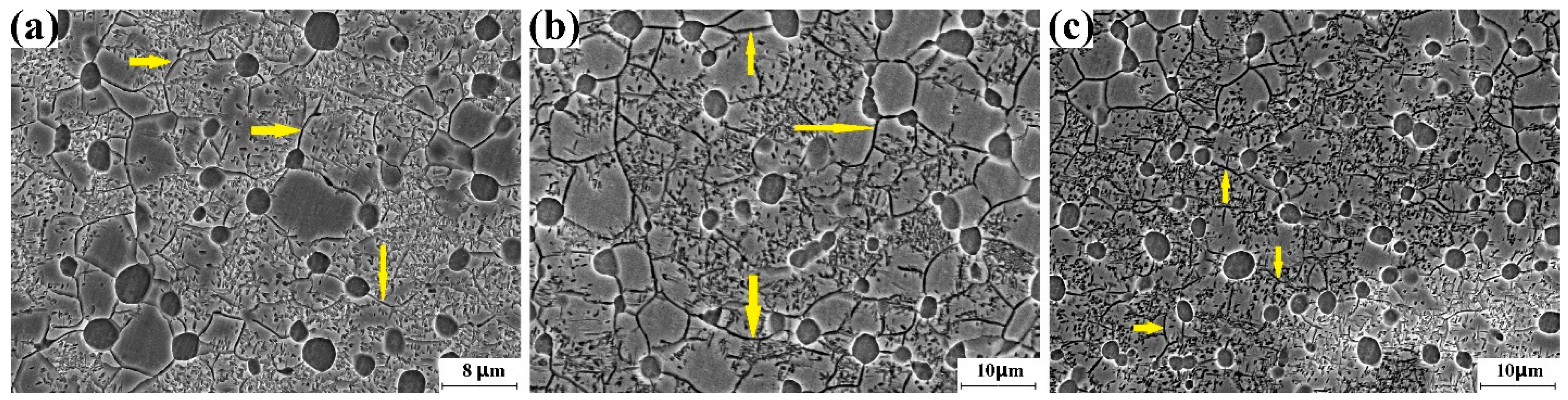 Materials 16 01692 g009