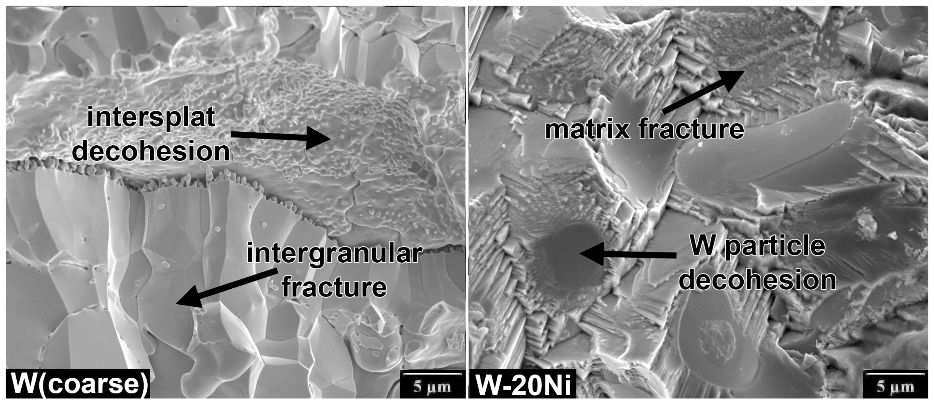 Materials 16 01713 g007 Materials 16 01713 g007