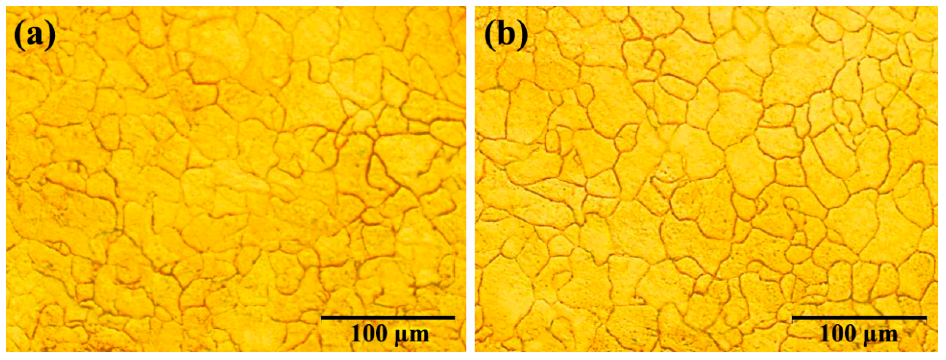 Materials 16 01716 g001