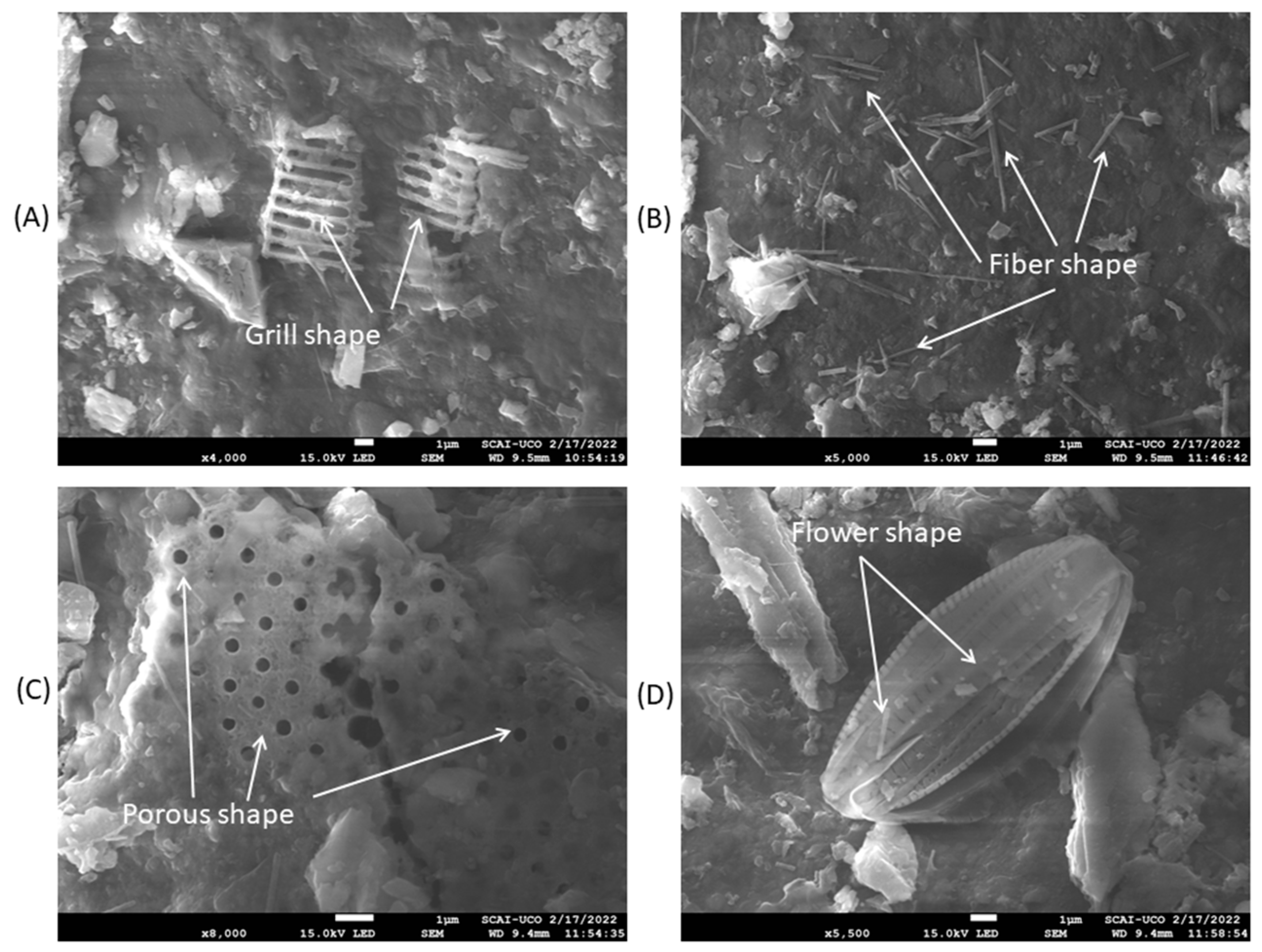 Materials 16 01734 g003 Materials 16 01734 g003