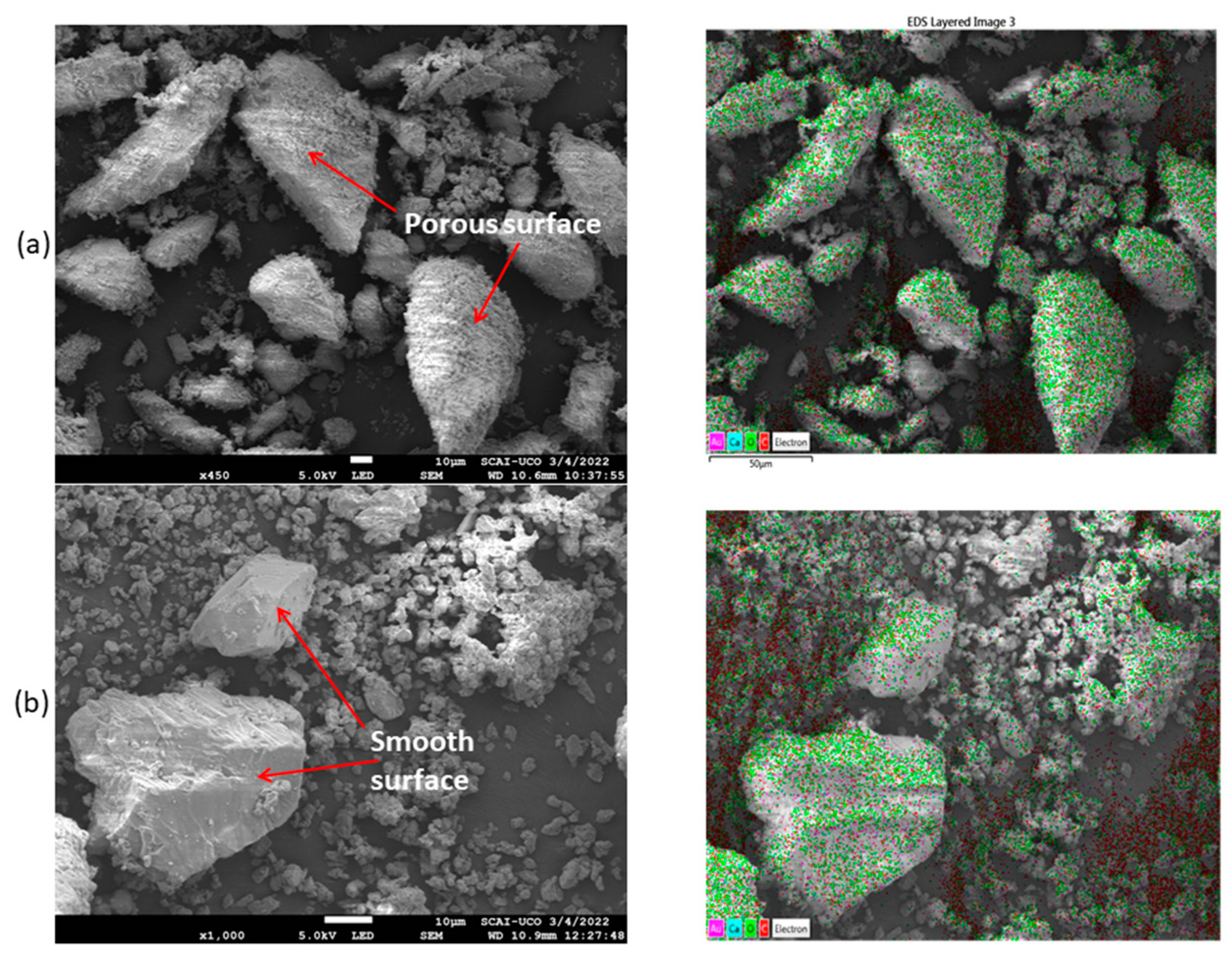 Materials 16 01734 g007 Materials 16 01734 g007