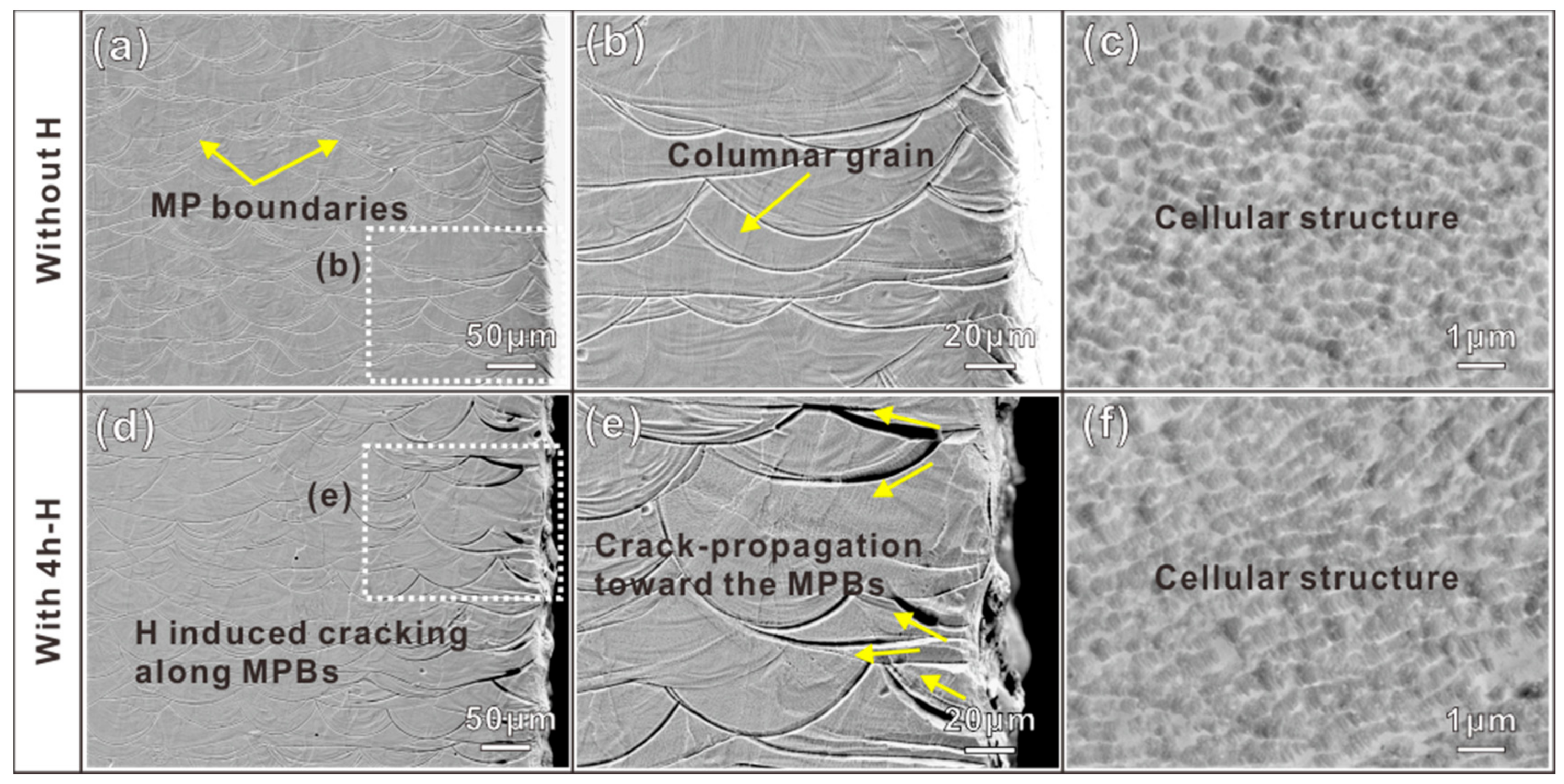 Materials 16 01741 g003