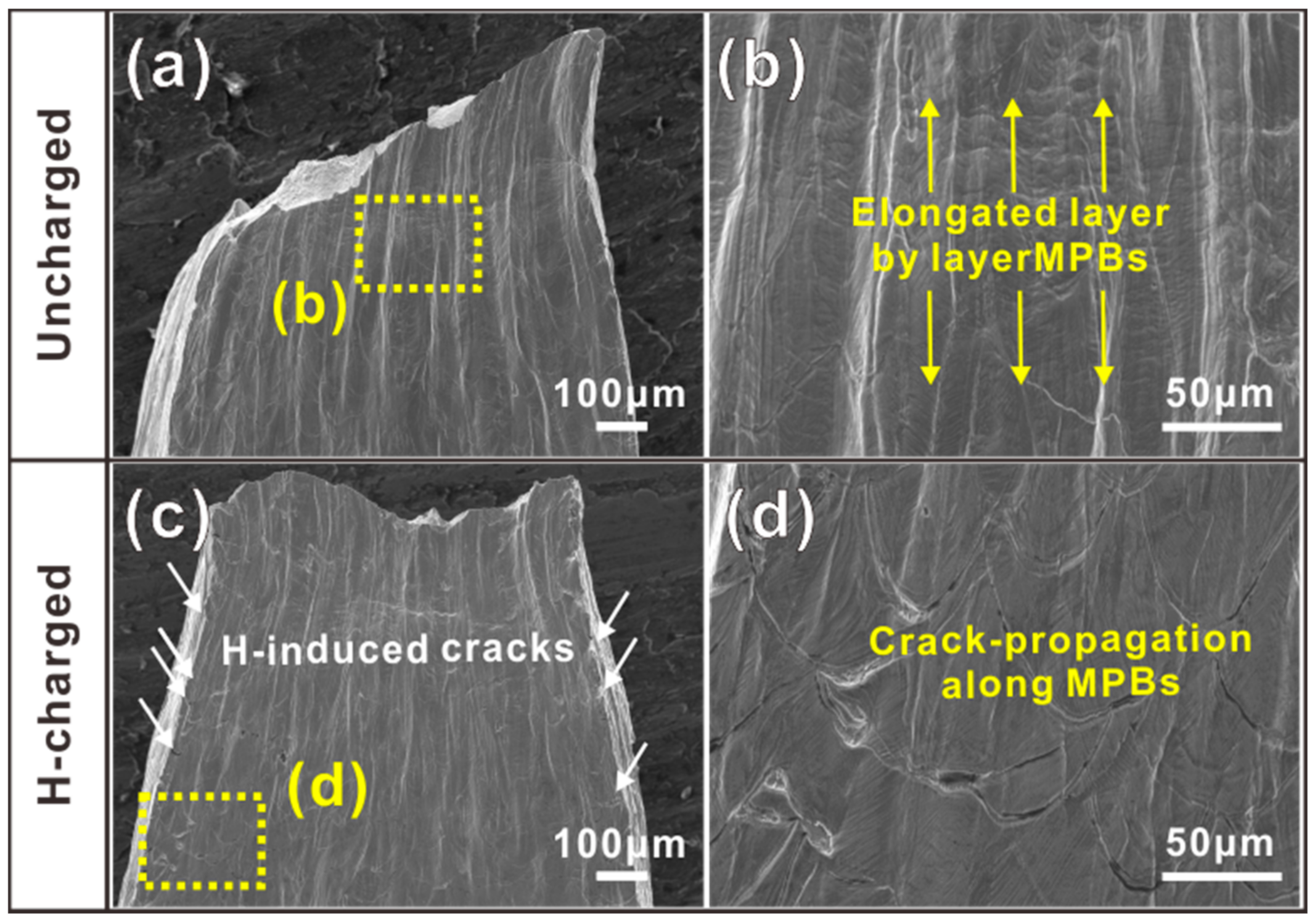 Materials 16 01741 g006