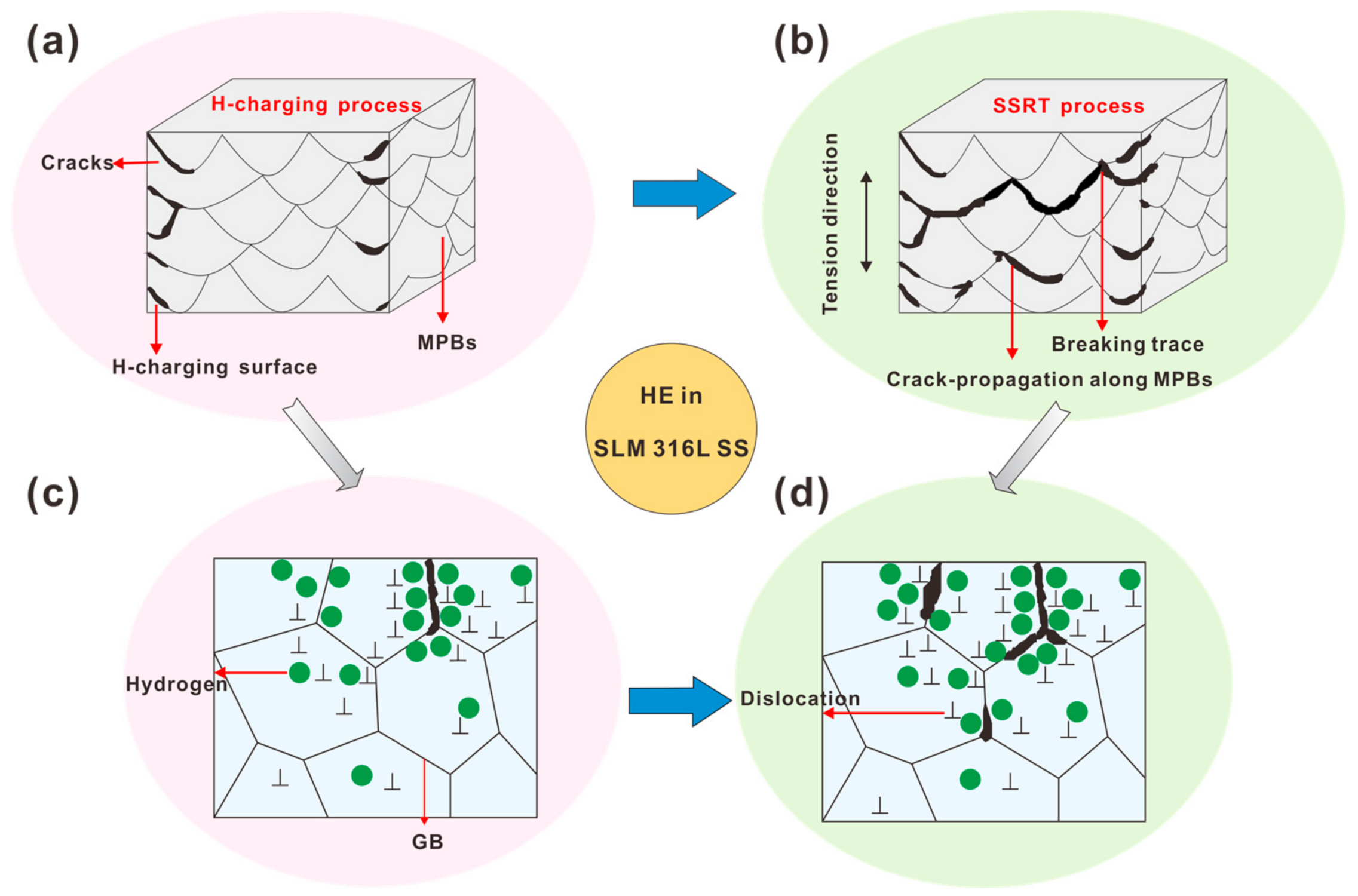 Materials 16 01741 g010