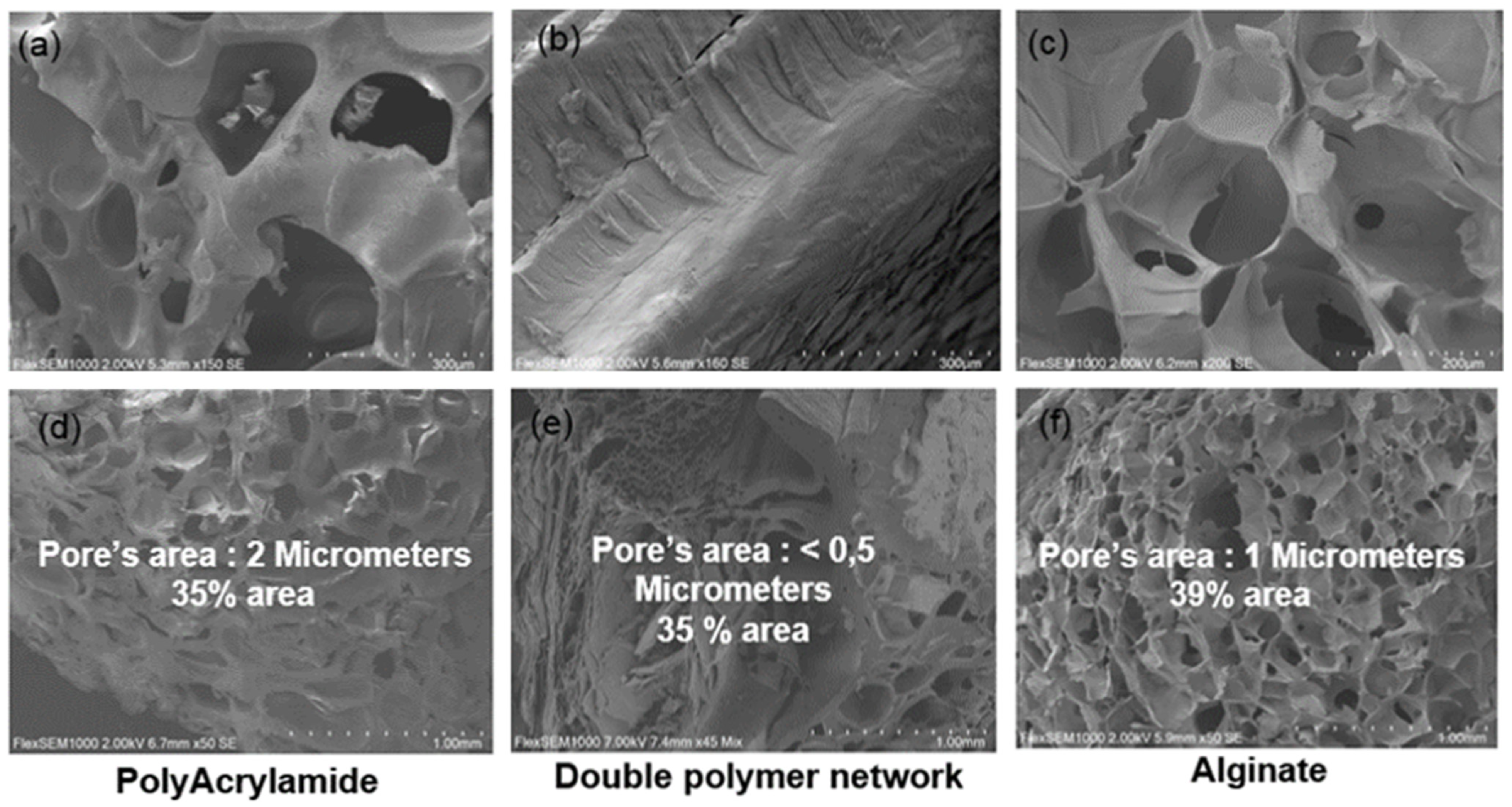 Materials 16 01789 g002