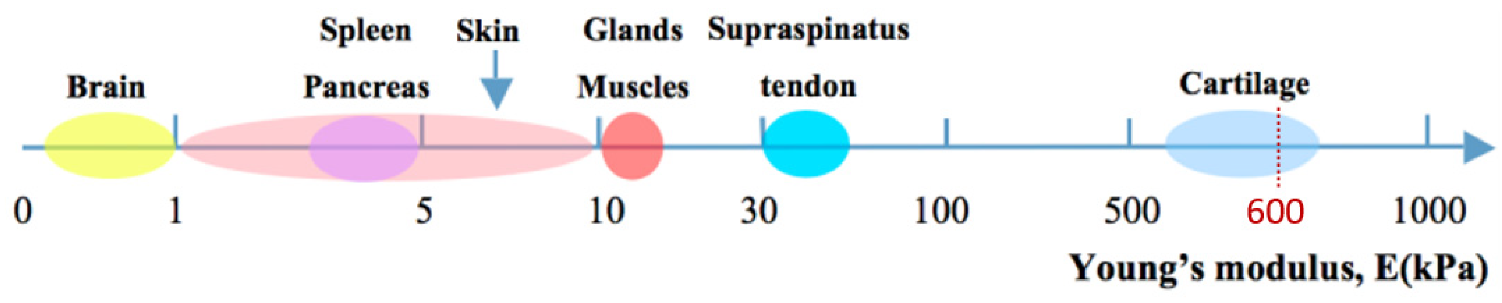 Materials 16 01789 g004