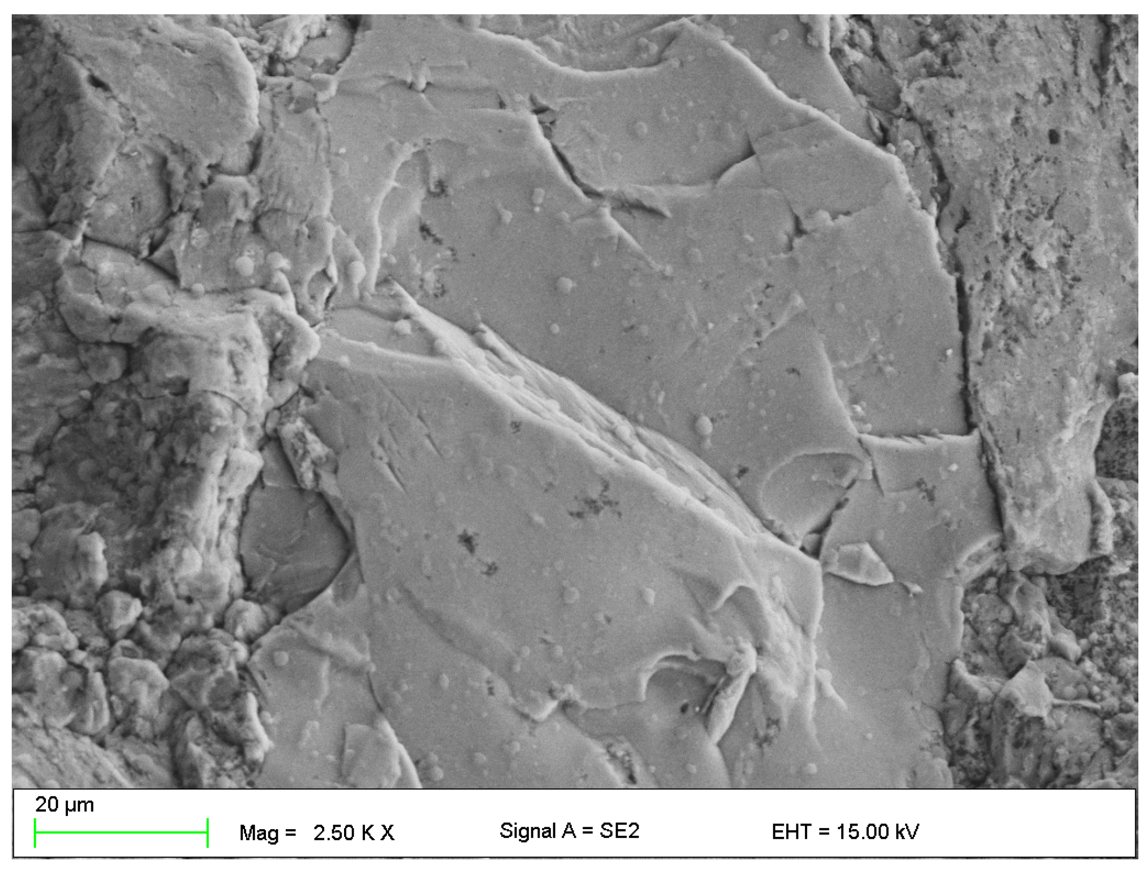 Materials 16 01915 g005 Materials 16 01915 g005