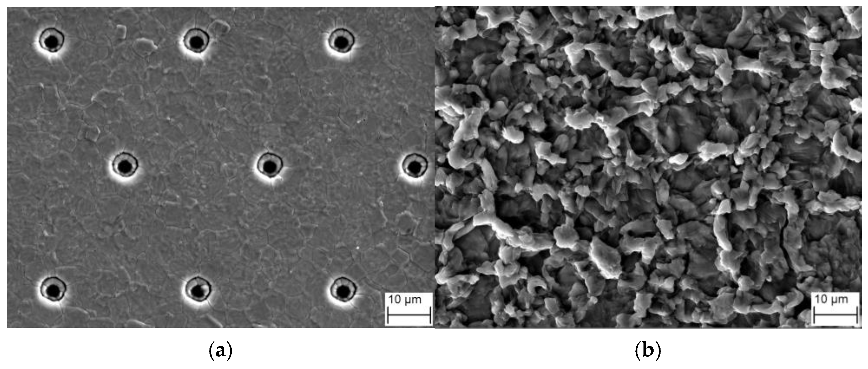 Materials 16 01936 g006