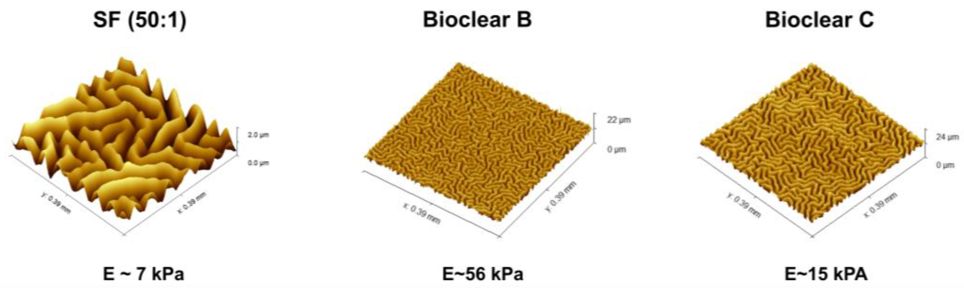 Materials 16 01938 g004